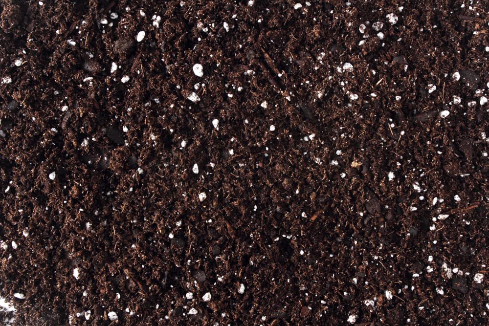 Bonsai Tree Soil All Purpose Blend - CZ Grain Brand 100% Organic All Natural Great for Fast Growing Bonsai Trees