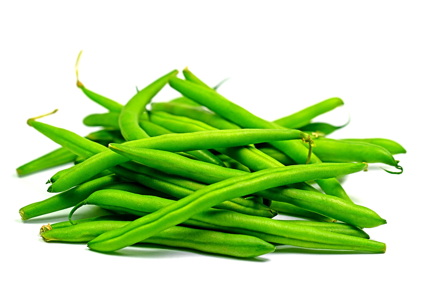 Green Bean Seeds for Planting | 50+ Seeds of Provider Bush Beans | Made in USA, Non-GMO, Heirloom Seeds, Grow your Own Food | Vegetable Seeds for Planting