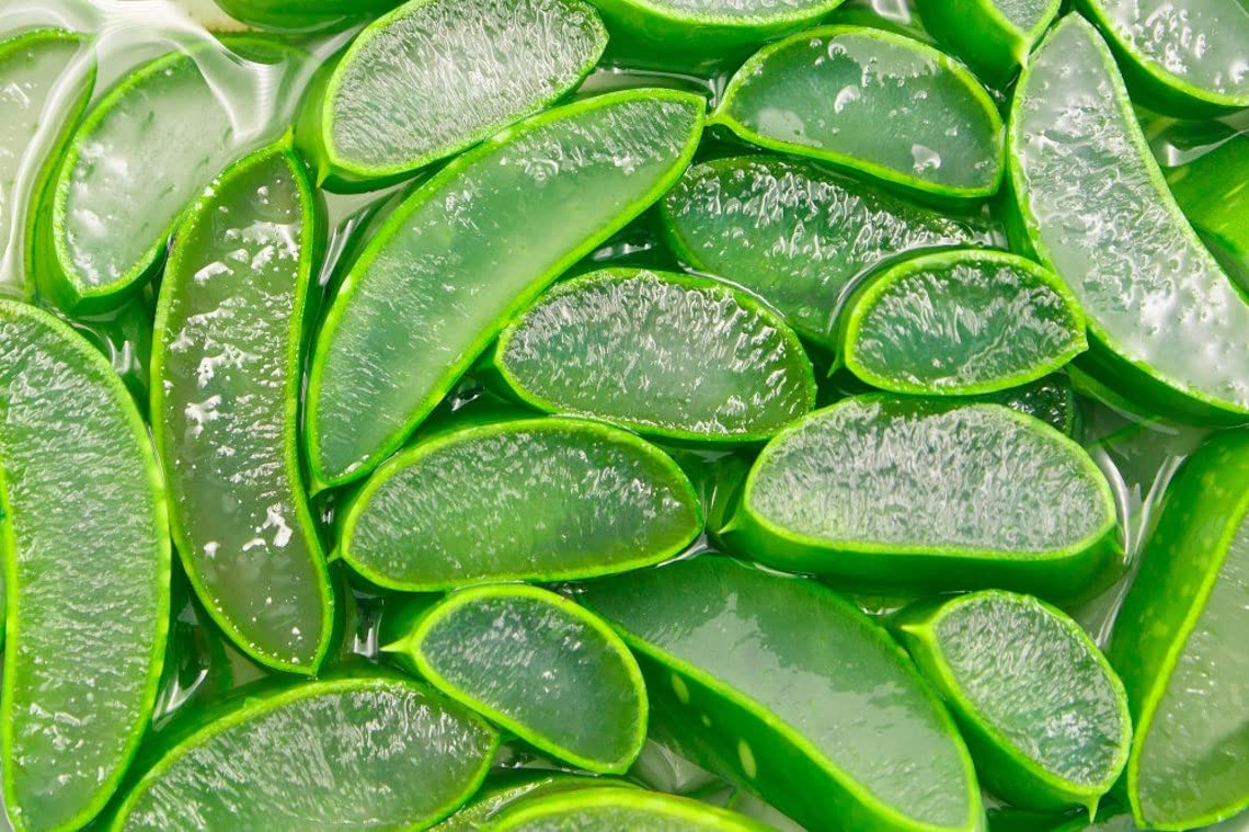 Aloe Vera Seeds for Planting - 30+ Seeds - Ships from Iowa, USA - Grow Healing Aloe