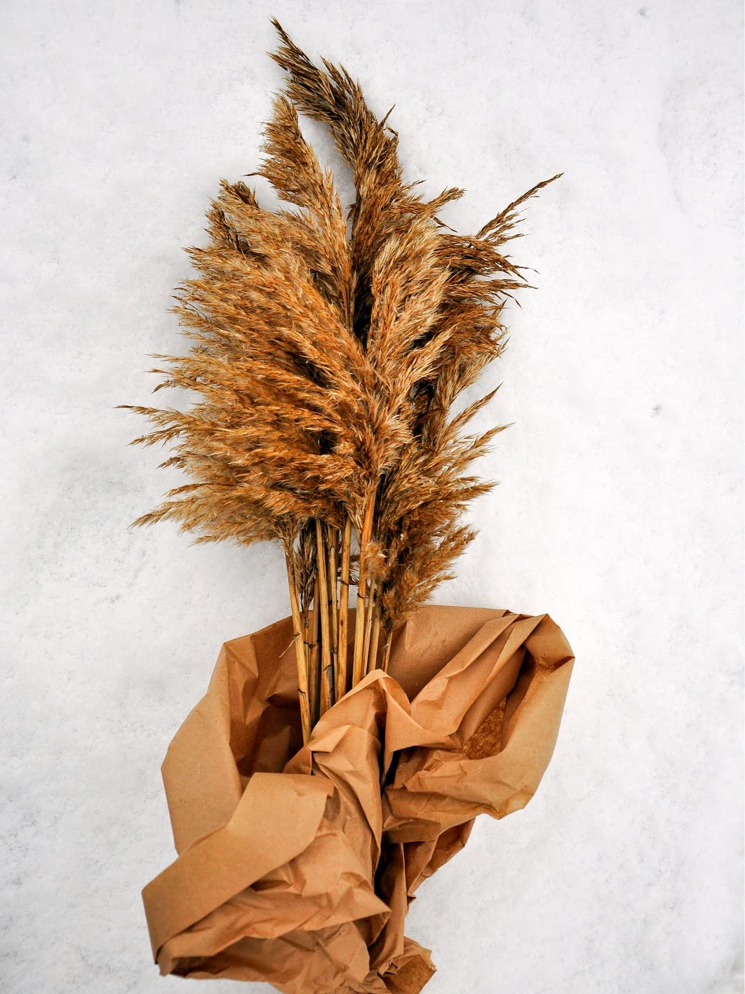 Natural Pampas Grass Stalks, 4 Feet Tall - 100% All Natural, Grown and Shipped from Iowa, USA. - Vase Filler, Wedding Decoration