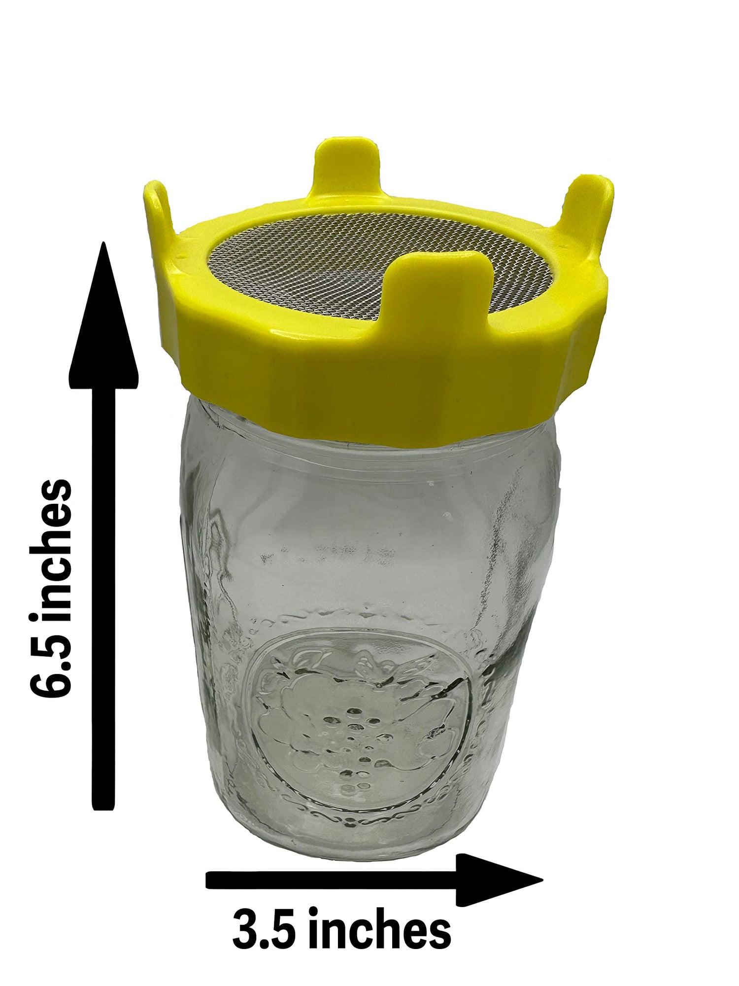 Mason Jar with Screen Lid - Glass Jar for Planting Microgreens