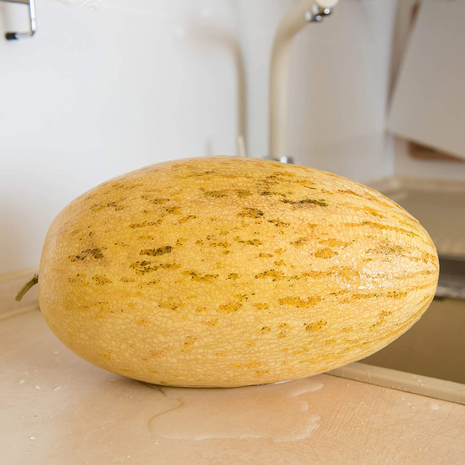 Banana Melon Seeds (20 Seeds) | Non-GMO | Heirloom | Fresh Garden Seeds