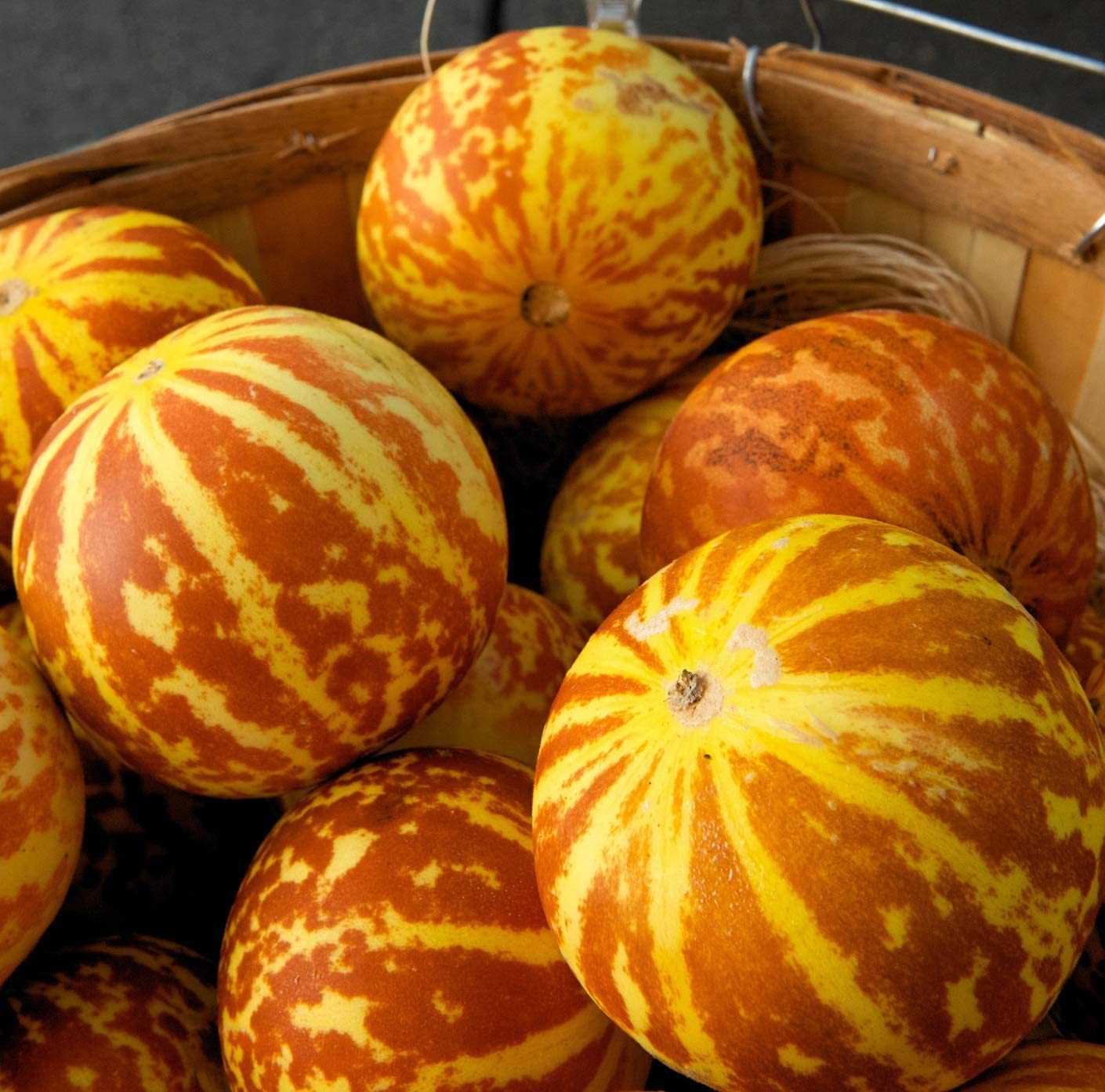 Melon Seeds for Planting (10 Seeds) - Grow Your Own Food