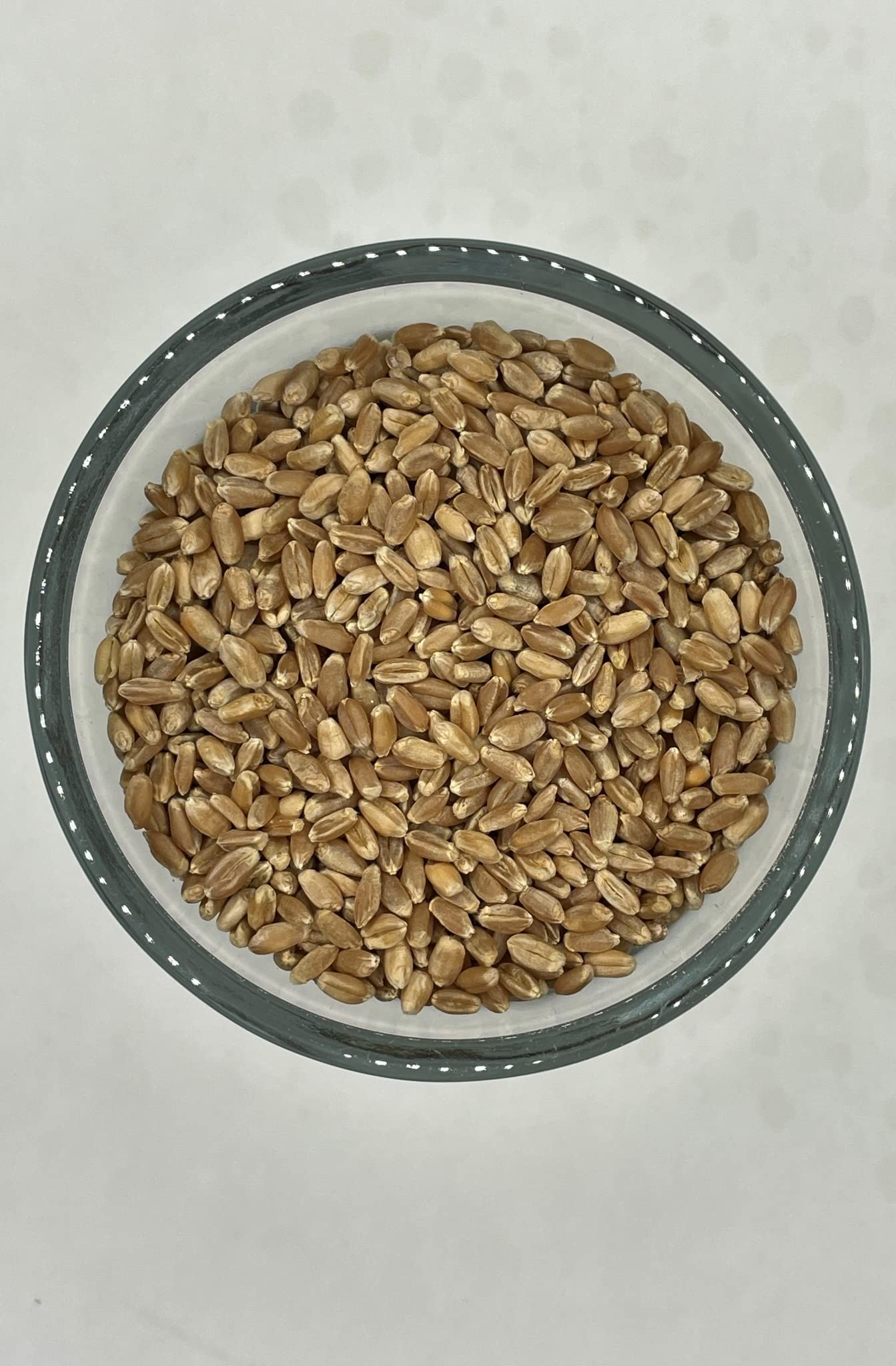 Executive Deals All Organic Hard Red Wheat Berries, Non-GMO & USDA Certified - 5 Pounds (Double-Sealed)