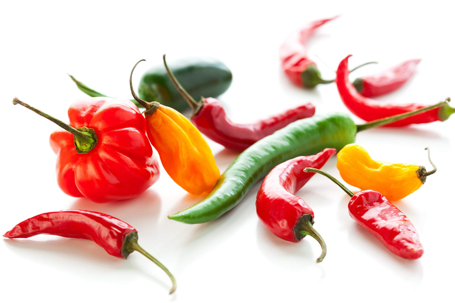 Big Pack of Hot Pepper Seeds - 4 Types - Jalapeno Pepper, Habenero Pepper, Long Cayenne Red Pepper and Anaheim Chilli - 100 Seeds of Each Type to Grow