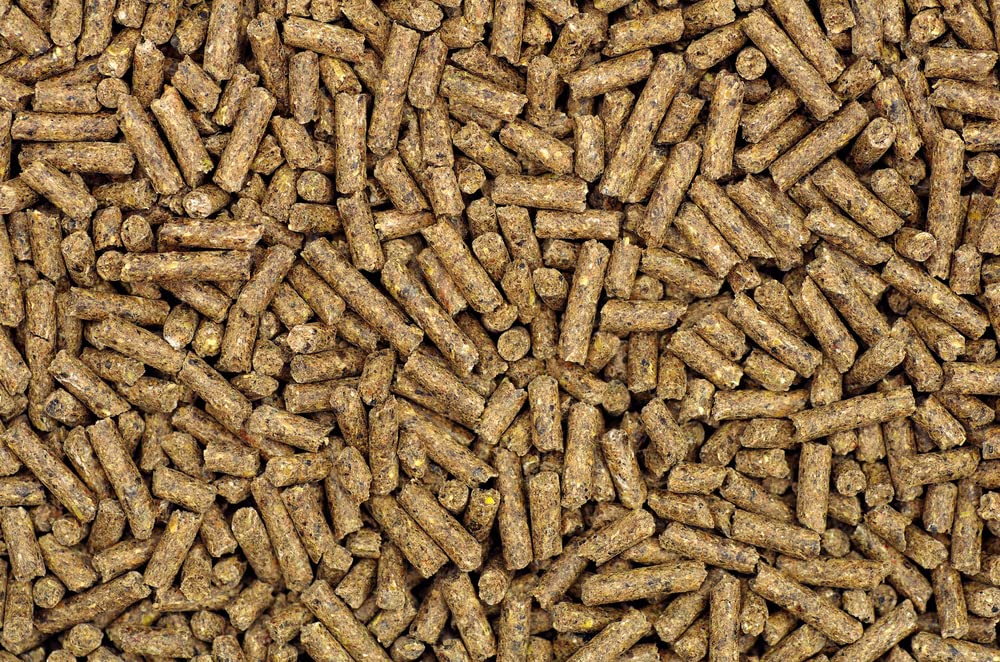 CZ Grain Layer Feed Pellets for Chickens - Designed for The Whole Laying Period