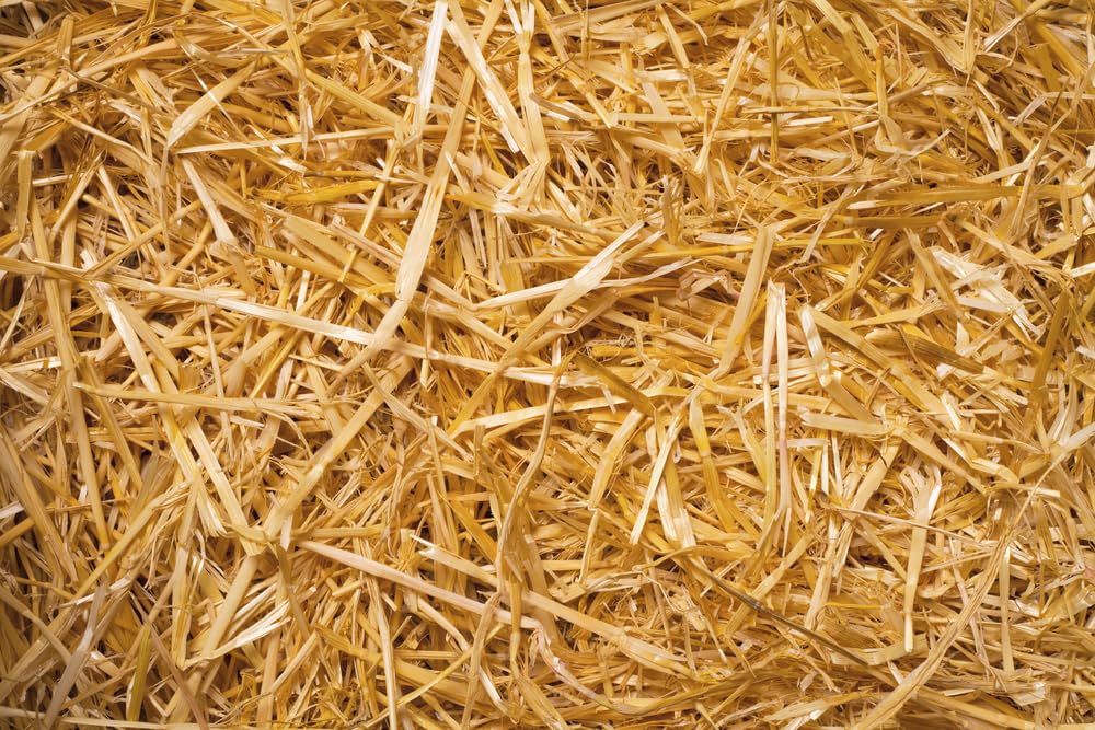 1 Cubic Foot Natural Wheat Straw (4 Pounds) Animal Bedding, Garden Mulch, Compost, and Grass Cover