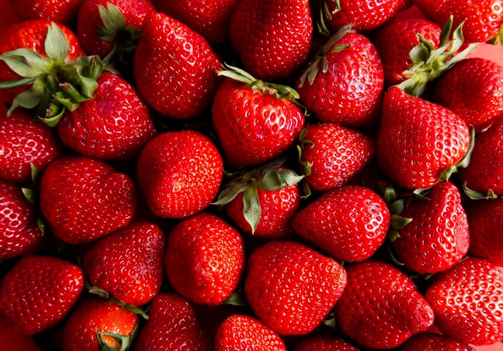 Sparkle Strawberry Plants - Grow Delicious Red Strawberries - Bare Root Plants