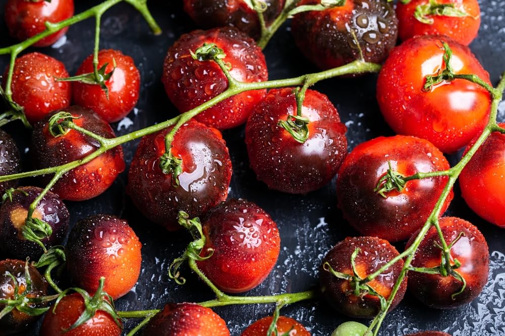 100 Midnight Cherry Tomato Seeds for Planting - Delicious and Easy to Grow