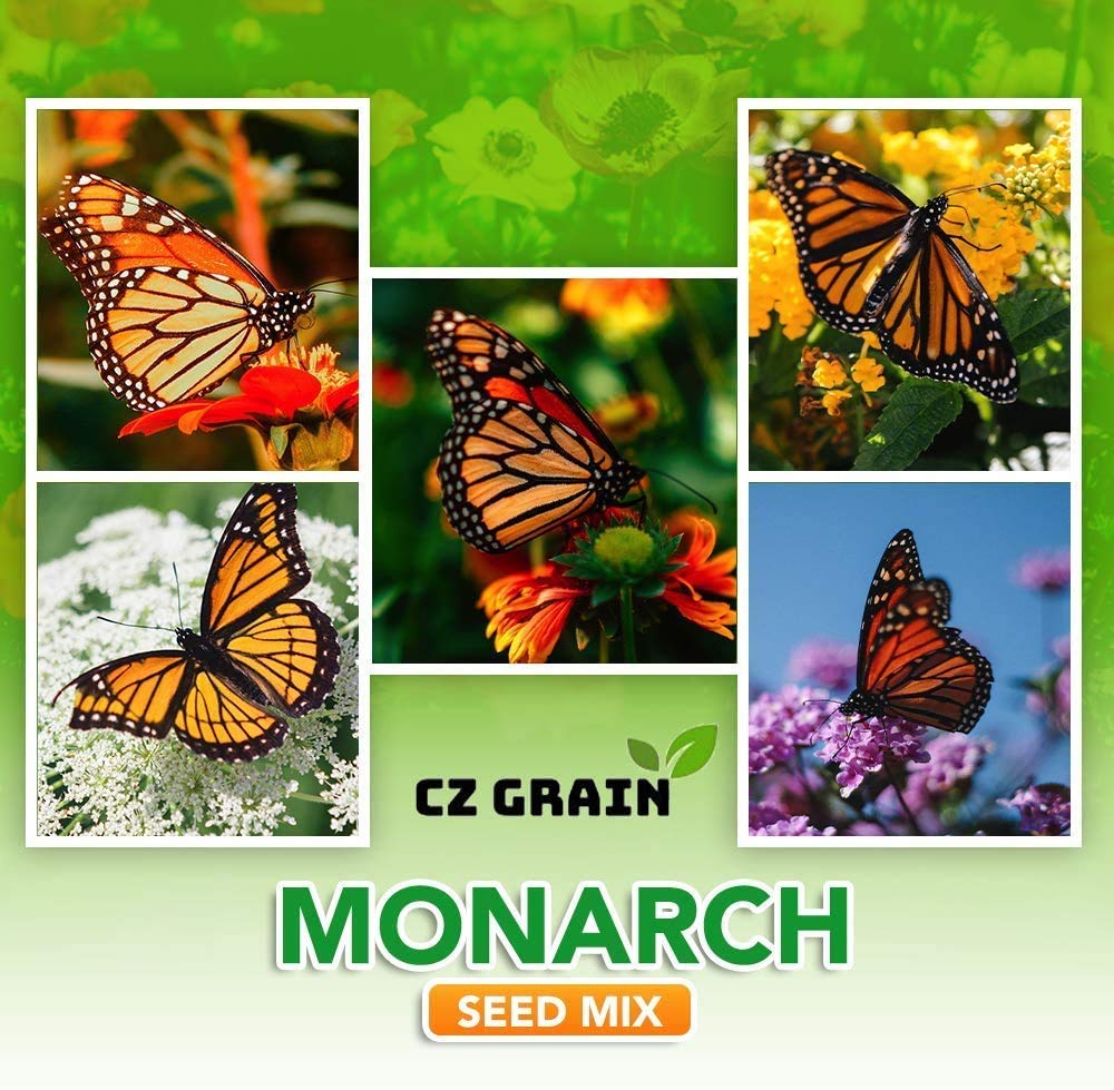 Monarch Butterfly Garden Seed Kit - Annual and Perrenial Wildflowers and Milweed Seeds