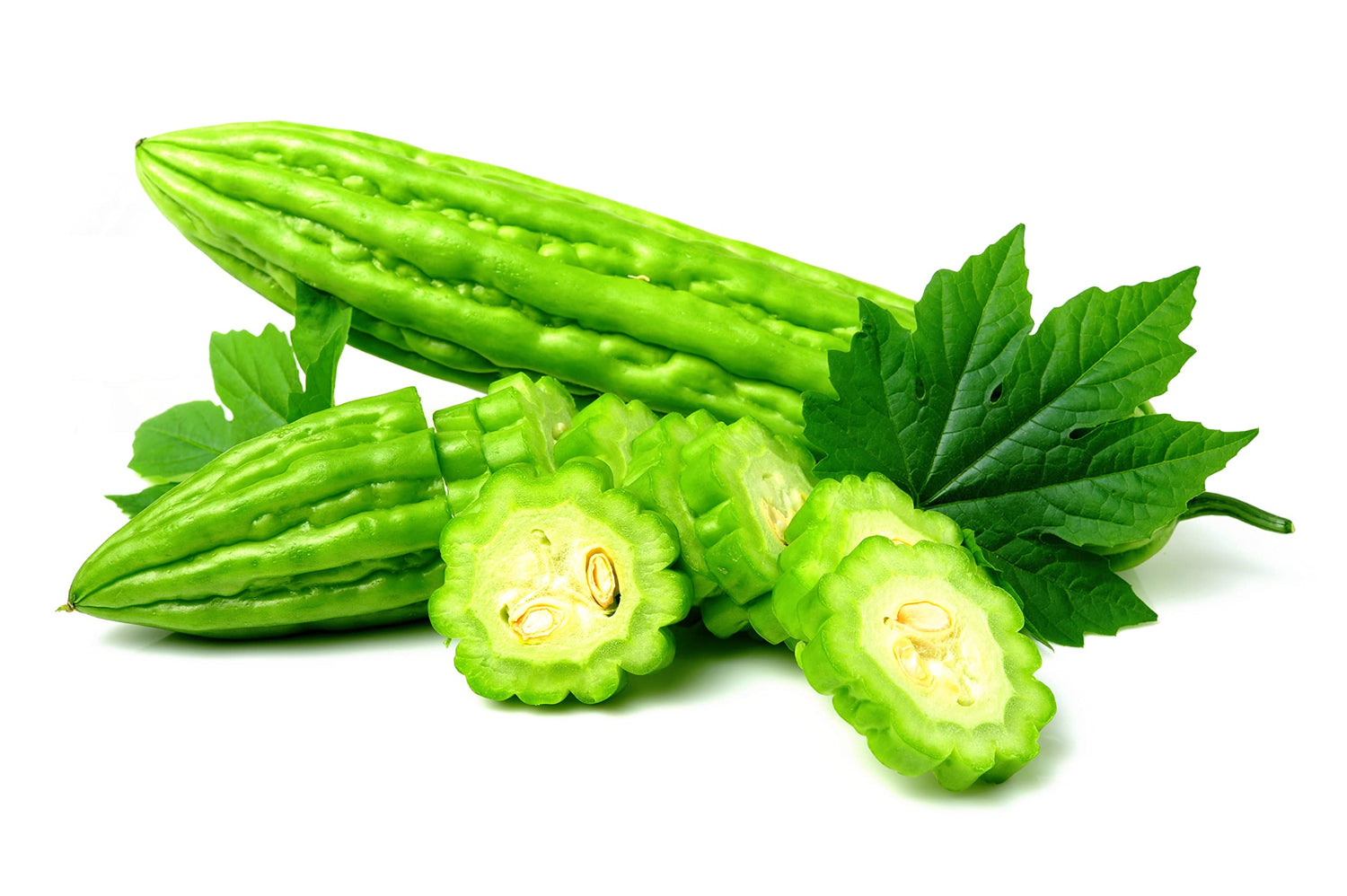Smooth Bitter Melon Vine Seeds for Planting - 10 Seeds - Bitter Melon Rare and Hard to Find. Ships from Iowa, USA