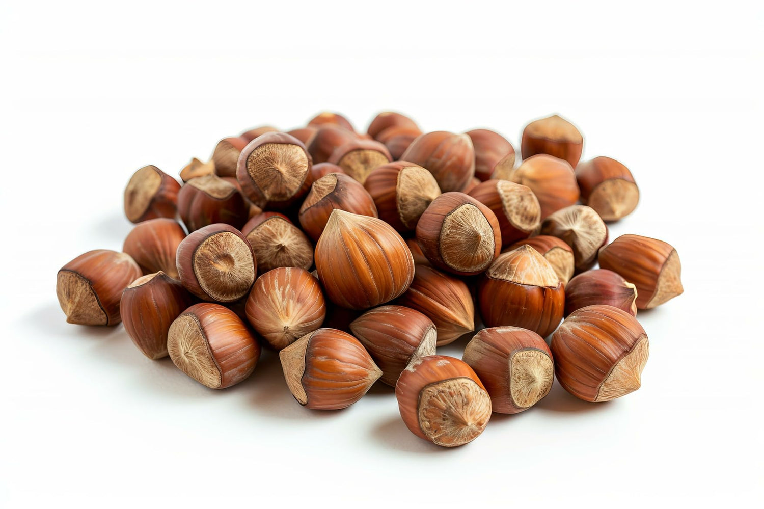 20 Pounds, Oregon Hazelnuts In shell | Whole, Raw and Unsalted | No Added Flavor and NON-GMO | Fresh Buttery Taste and Easy to Crack | Natural Unshelled Hazelnuts Packed in Resealable Bags (20 LBS)