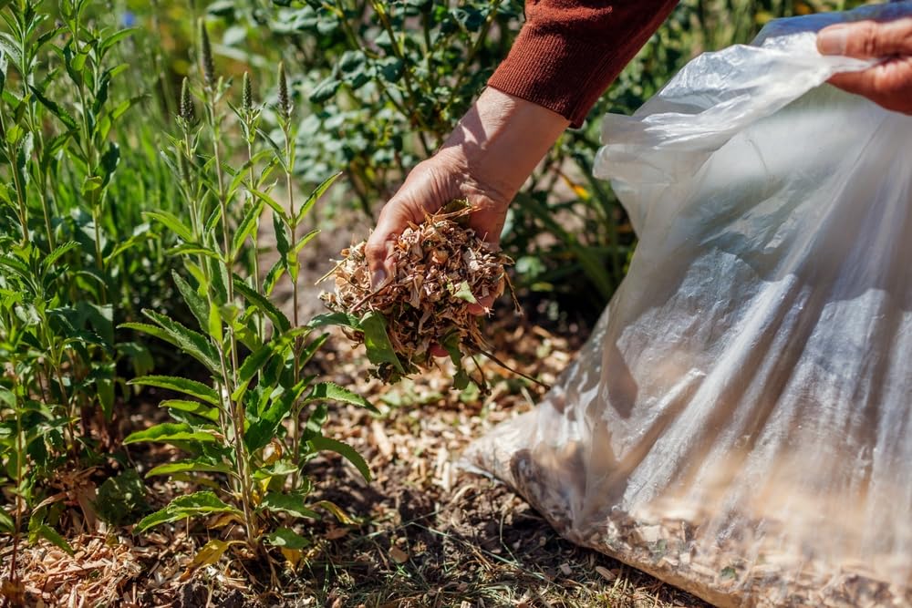 Willow Wood Chips | Mulch | Great for Outdoors or Indoor Potted Plants | Dog Bedding