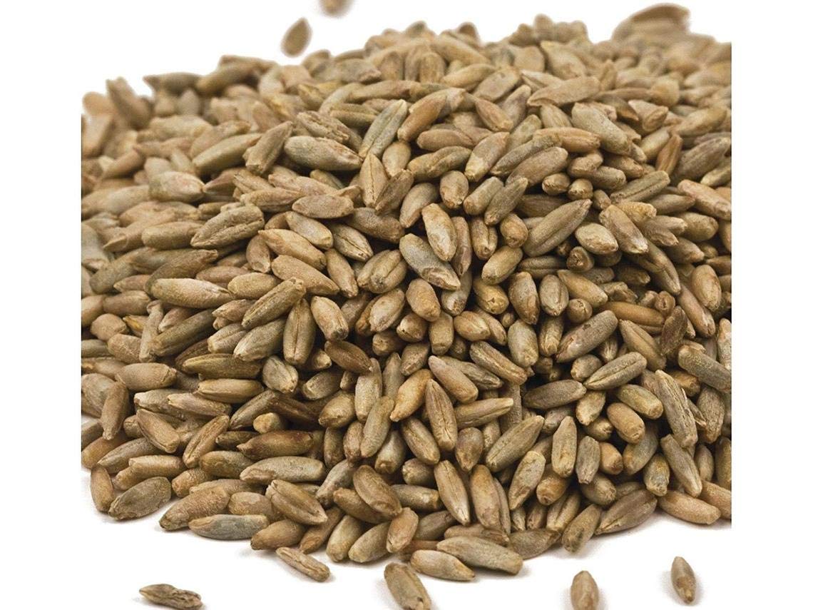 Rye Grass Seed - Fast Growing and Hardy Grass, Cover Crop, Food Plot. Grazing Pasture Seeds