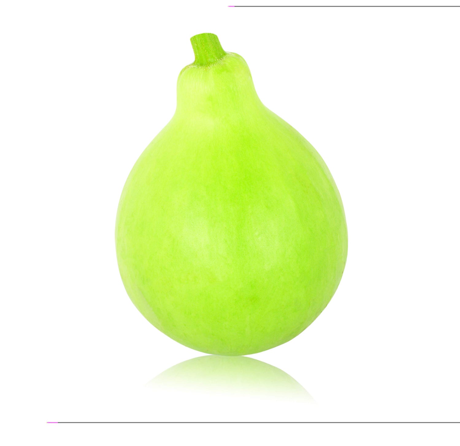 Bottle Gourd Seeds - 10+ Seeds - Used as Canteen in Antiquity. Exotic and Rare