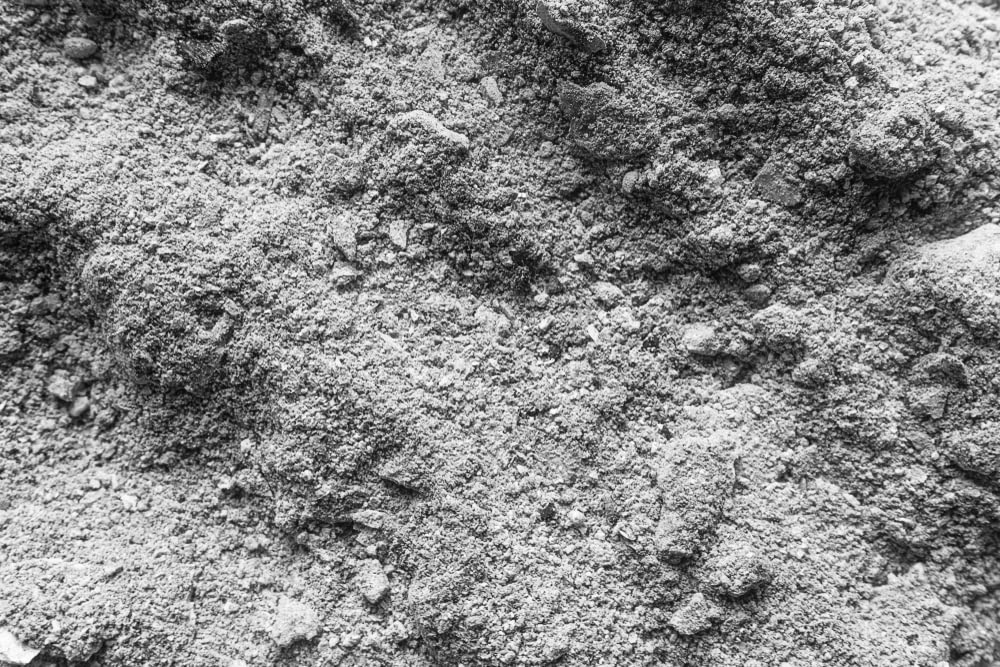 Wood Ash - 2 Pounds Unwashed Wood Ash - Garden Use or Chicken Bath