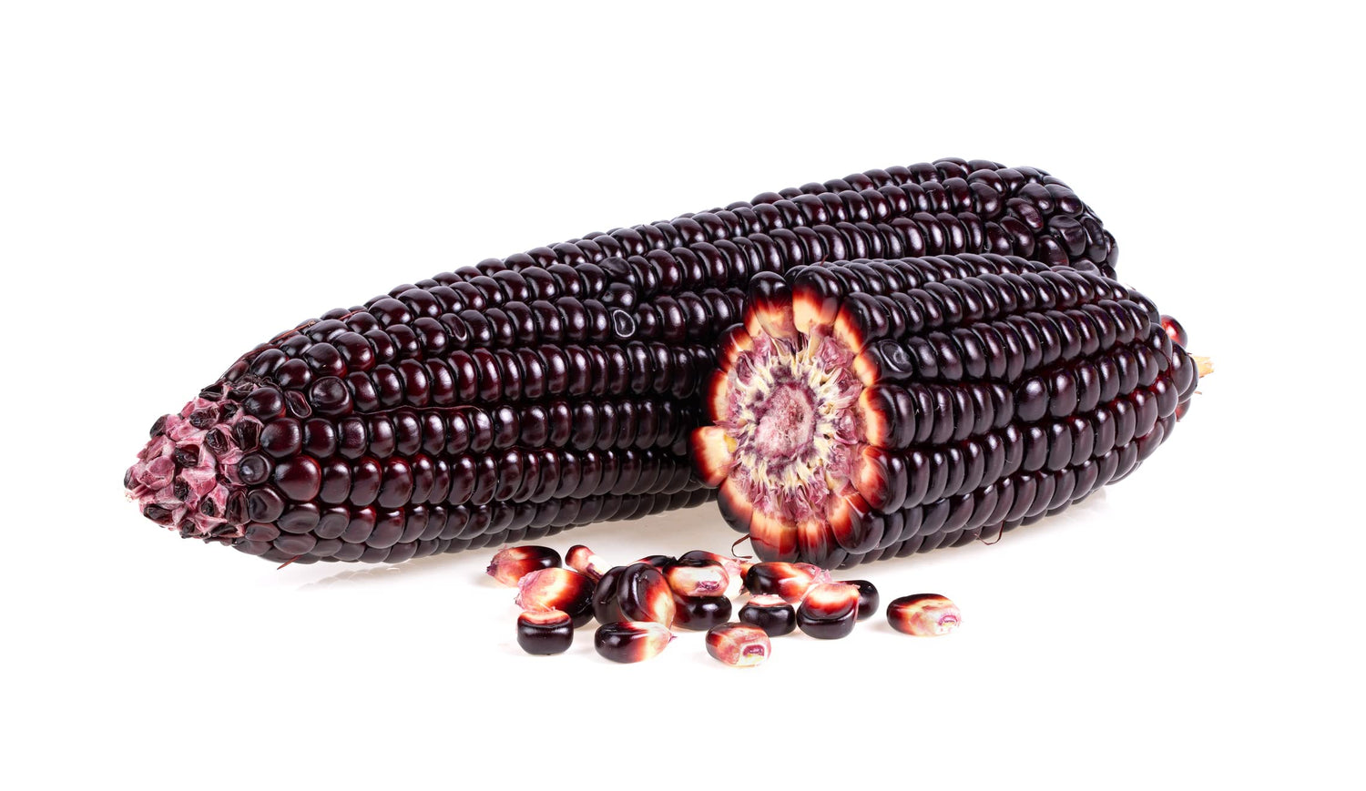 Rare Purple Popcorn Seeds for Planting - 50 Seeds to Grow This Exotic Edible Corn