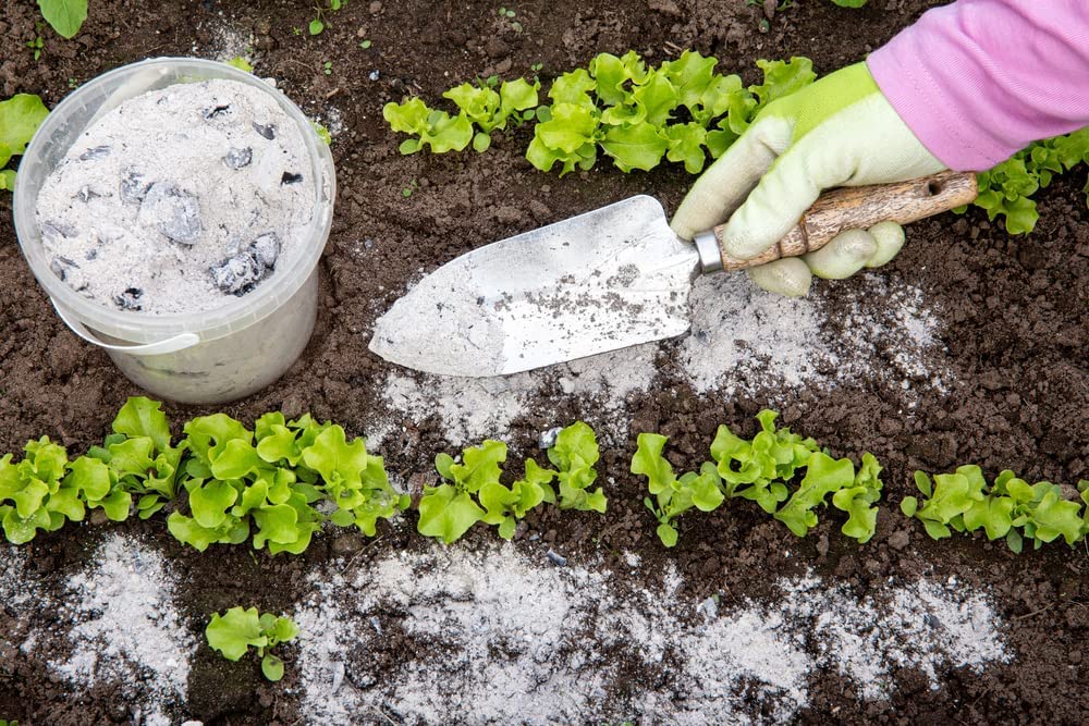 Wood Ash Fertilizer - Excellent Ph Balancer, Natural Fertilizer