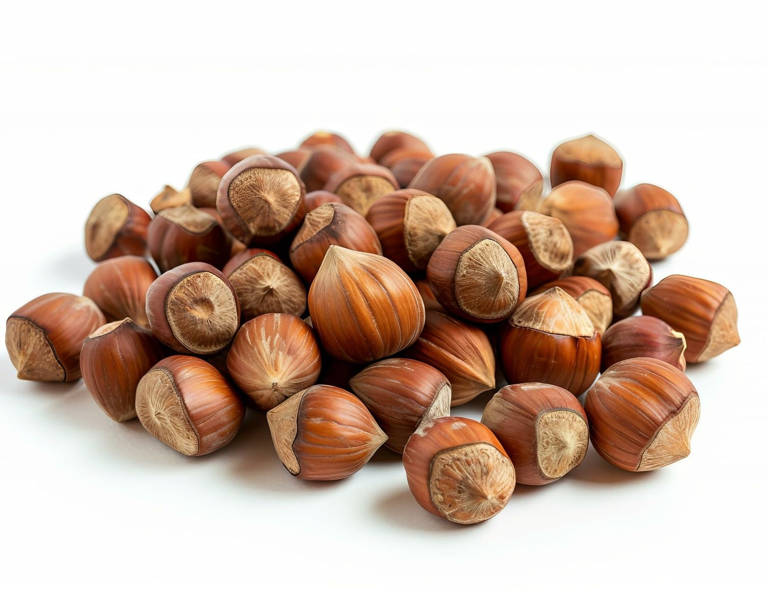 12 Ounces, Oregon Hazelnuts In shell | Whole, Raw and Unsalted | No Added Flavor and NON-GMO | Fresh Buttery Taste and Easy to Crack | Natural Unshelled Hazelnuts Packed in Resealable Bags (12 OZ)