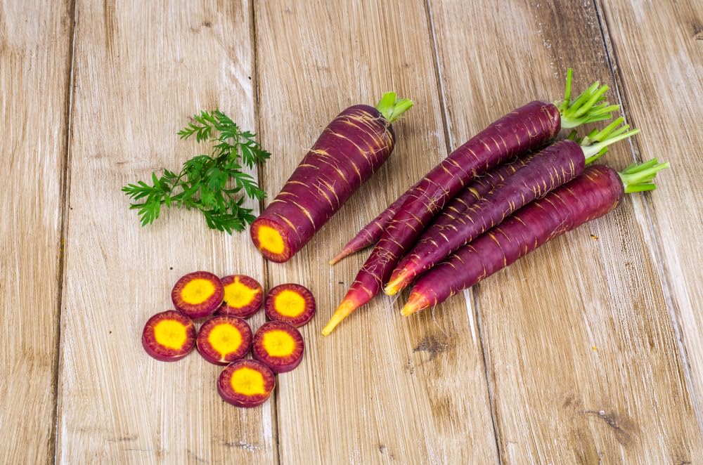 Purple Star Carrot Seeds for Planting - 100 Seeds