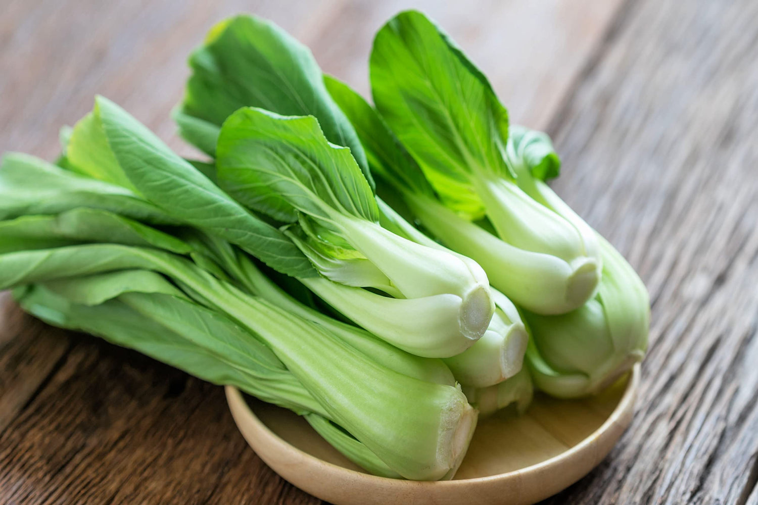Bok Choy Chinese Cabbage Seeds for Planting - (Pak Choi) Heirloom, Non-GMO Vegetable Variety- 1 Gram Seeds Great for Summer, Spring, Fall and Winter