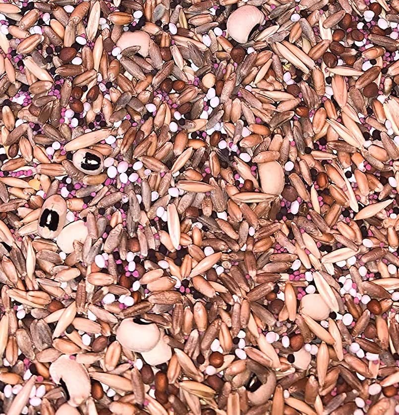 Dinner Getter Whitetail Deer Food Plot Seeds for Planting - 10 Way Mix - 8 Pounds of Seeds
