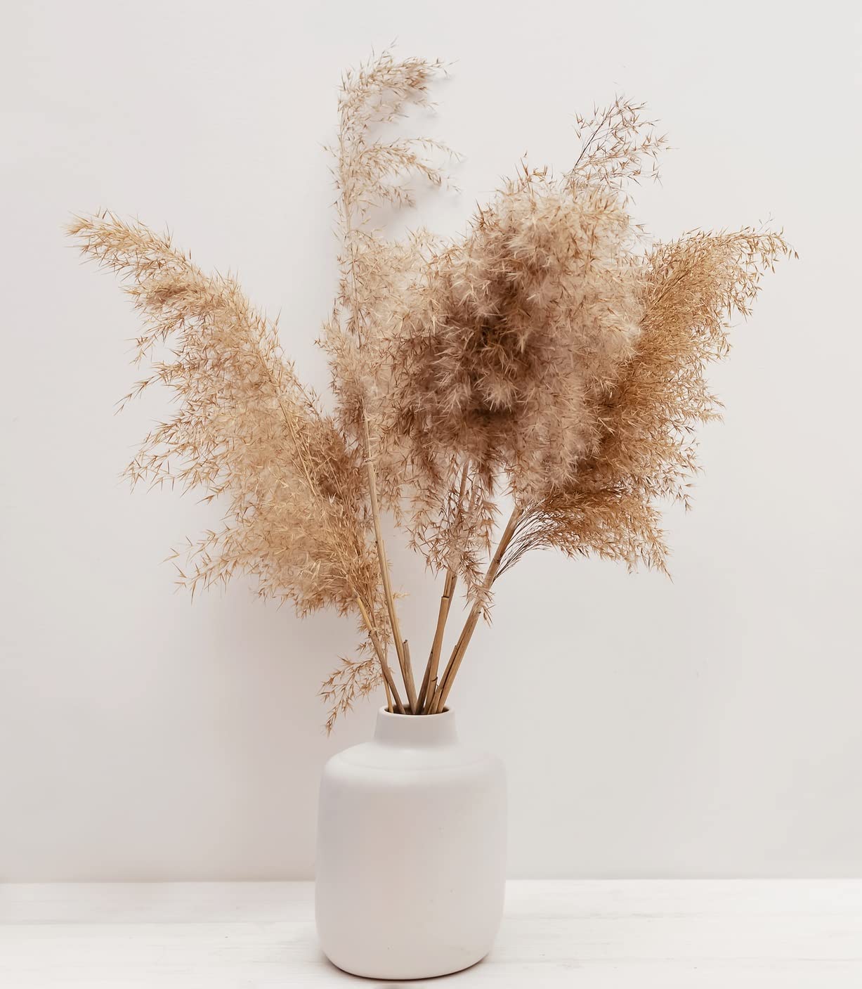 3 Foot Tall Real Pampas Grass Tops - 20 Pieces - Ships from Iowa, USA