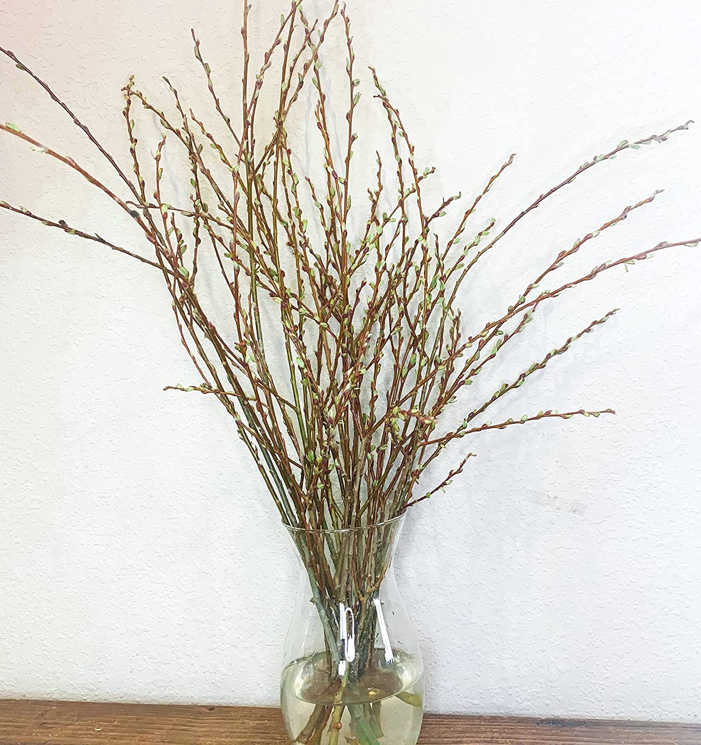 Living Vase Decor - Live and Growing Willow Branches - No Vase Included - They Grow in Water for Weeks - Table Decor, Wedding Decor