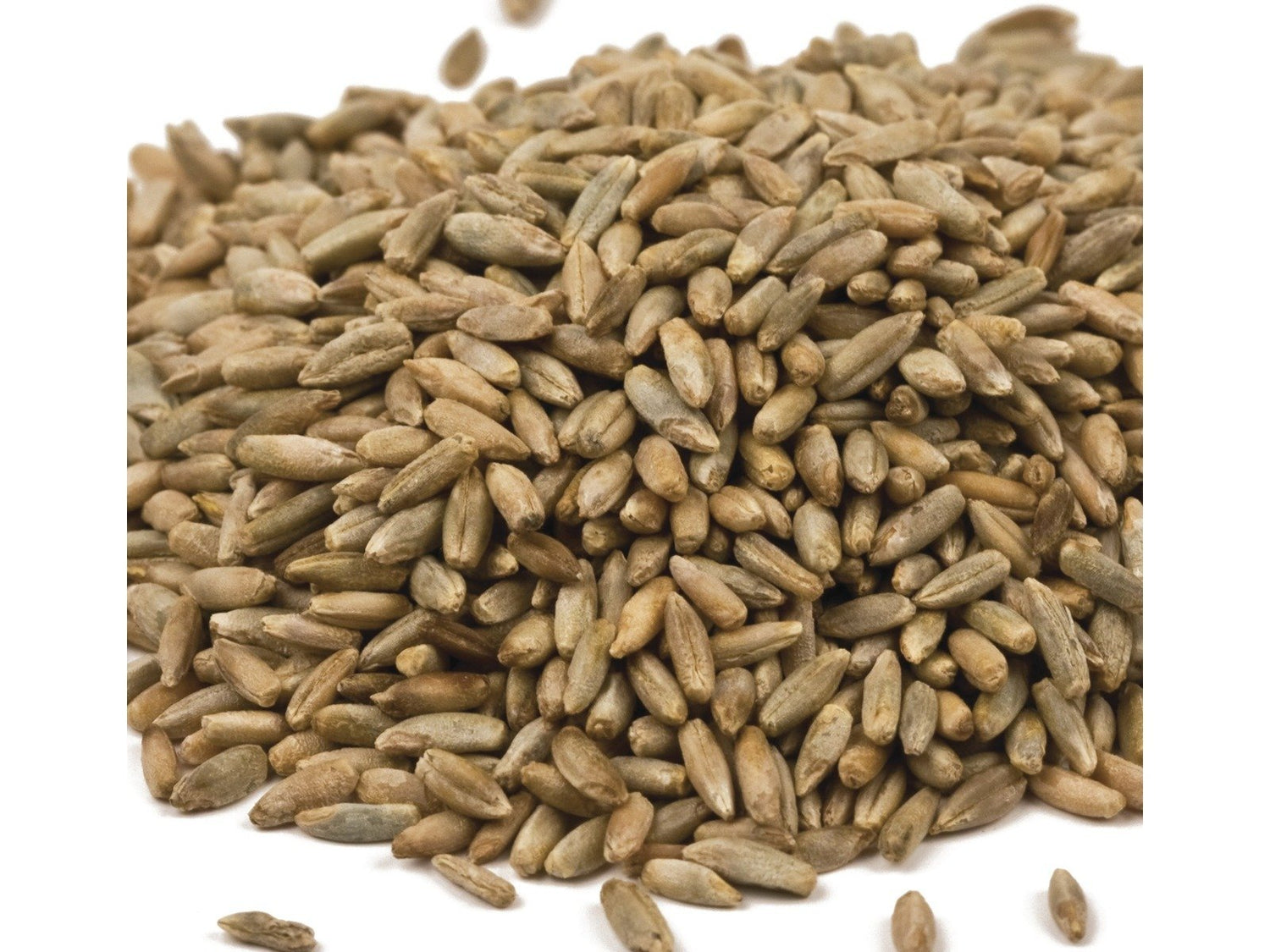Organic Rye Berries 25 lbs.