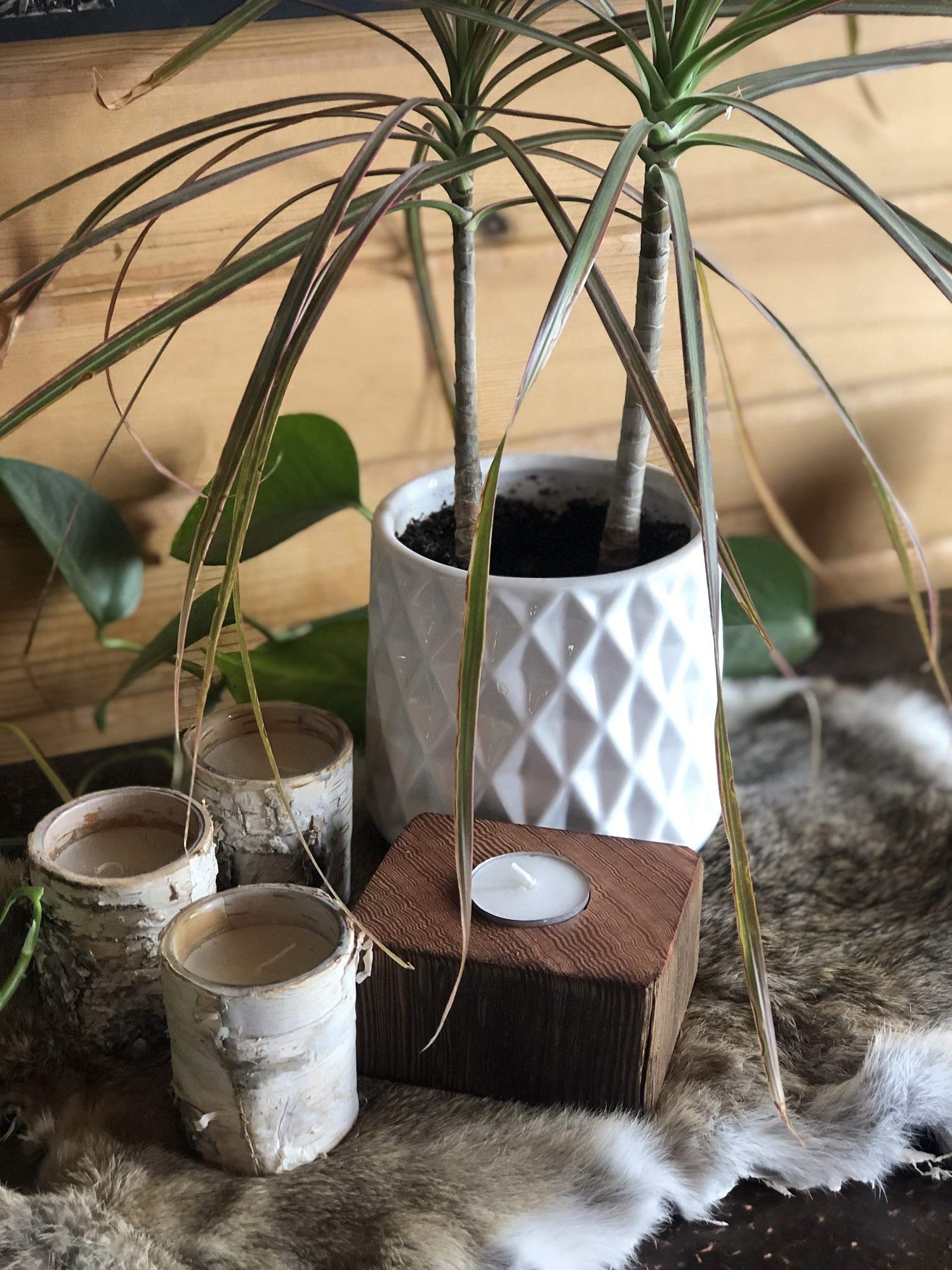 Prayer Candle | 2 Pack | Handmade fro Reclaimed Barn Wood