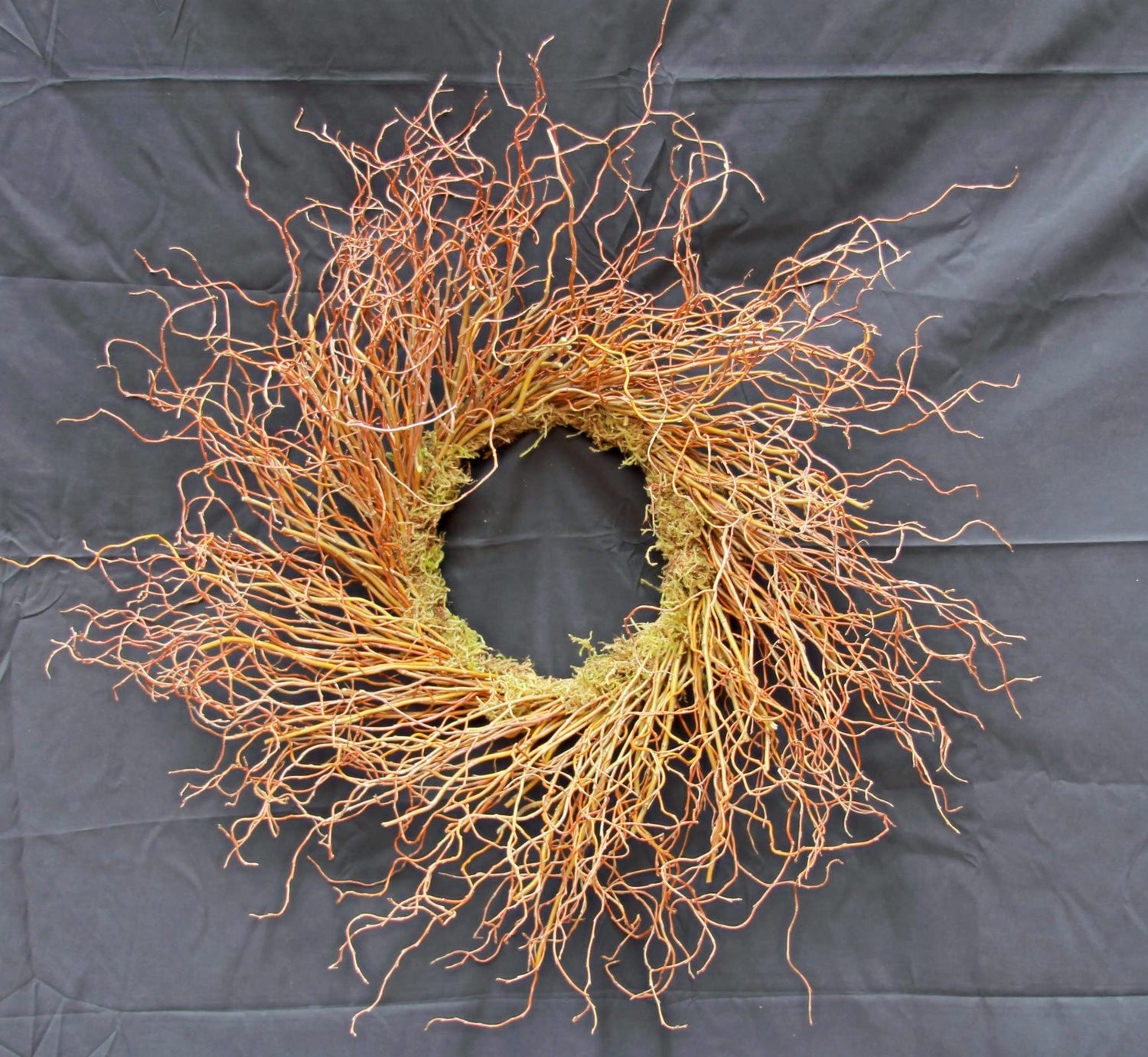 All Natural Curly Willow Branch Tips 12-30 Inches Long - Great for Crafts, Decoration, Vase Filler, Wedding or Event Decor