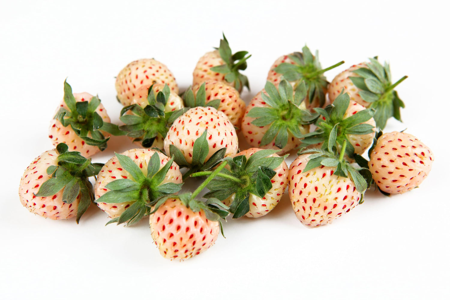 10 Pineberry Plants - Grow White Strawberries - Bare Root Plants, Easy to Grow