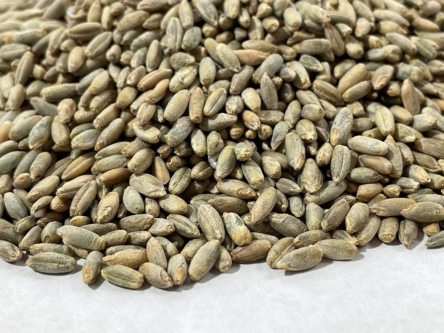 Fresh Rye Berries | 5 Pound Bag | High in Fiber and Iron - Made in USA