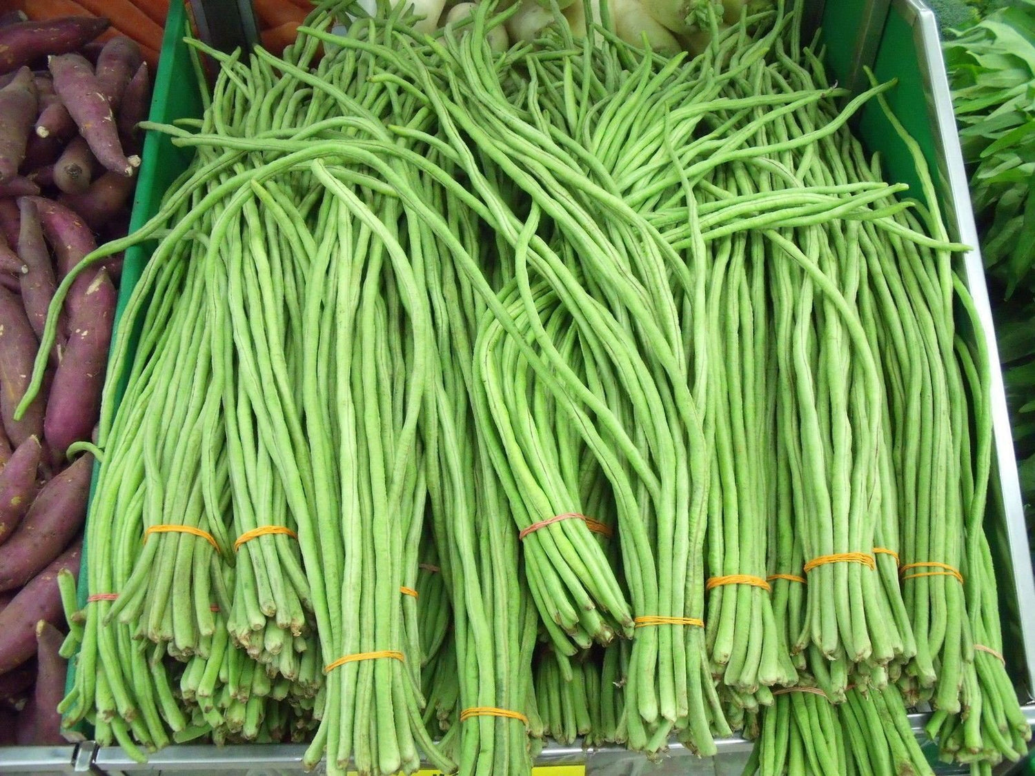 Yardlong Bean (Asparagus Bean, Snake Bean, Chinese Long Bean) 100 Seeds