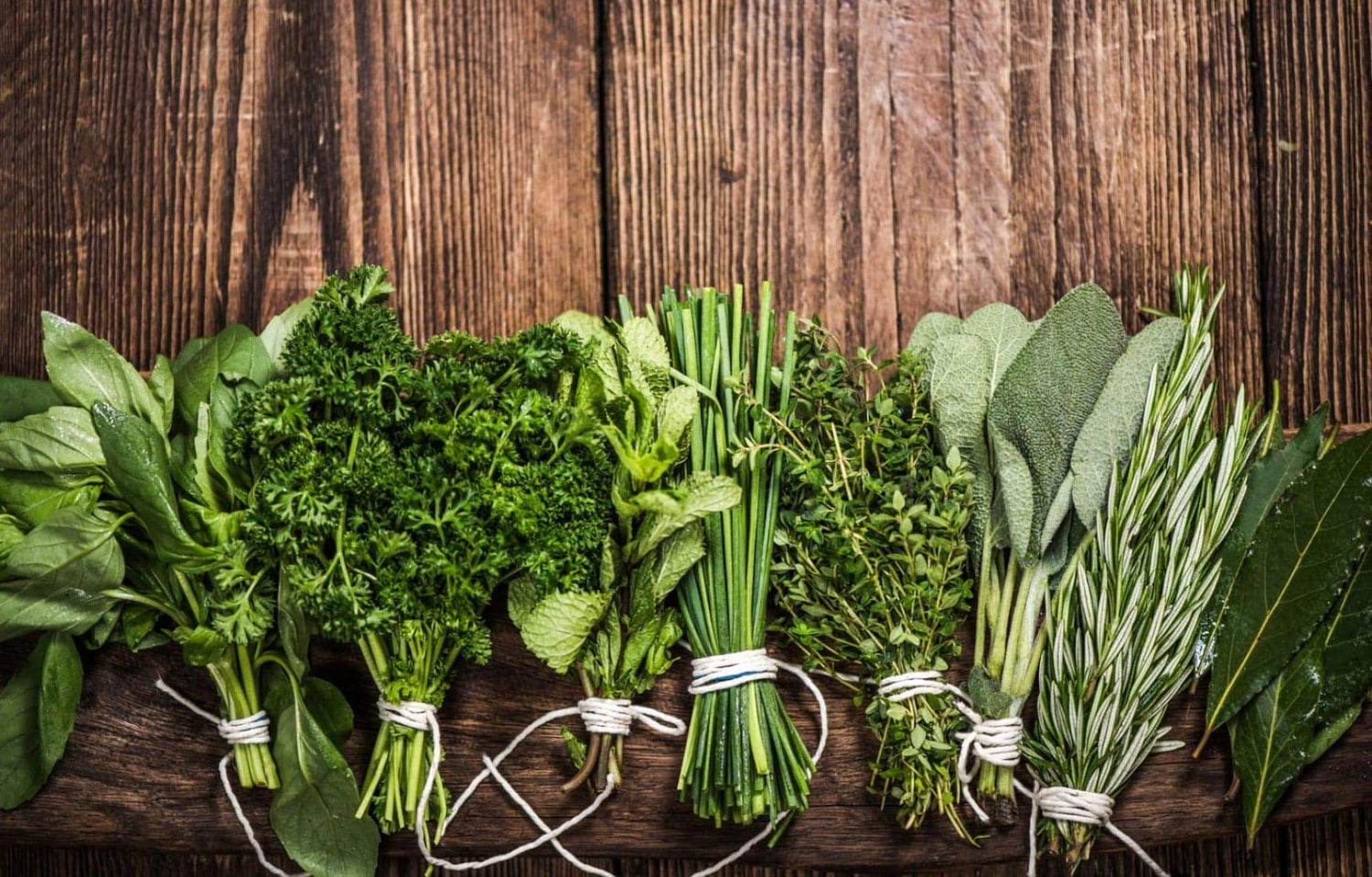 Herb Garden Kit | Chef 5 Pack | Parsley, Oregano, Cilantro, Dill, and Thyme | 5 Plant Markers | Herb Garden Seeds for Planting. Indoor Herb Garden,Good Outdoor Herbs