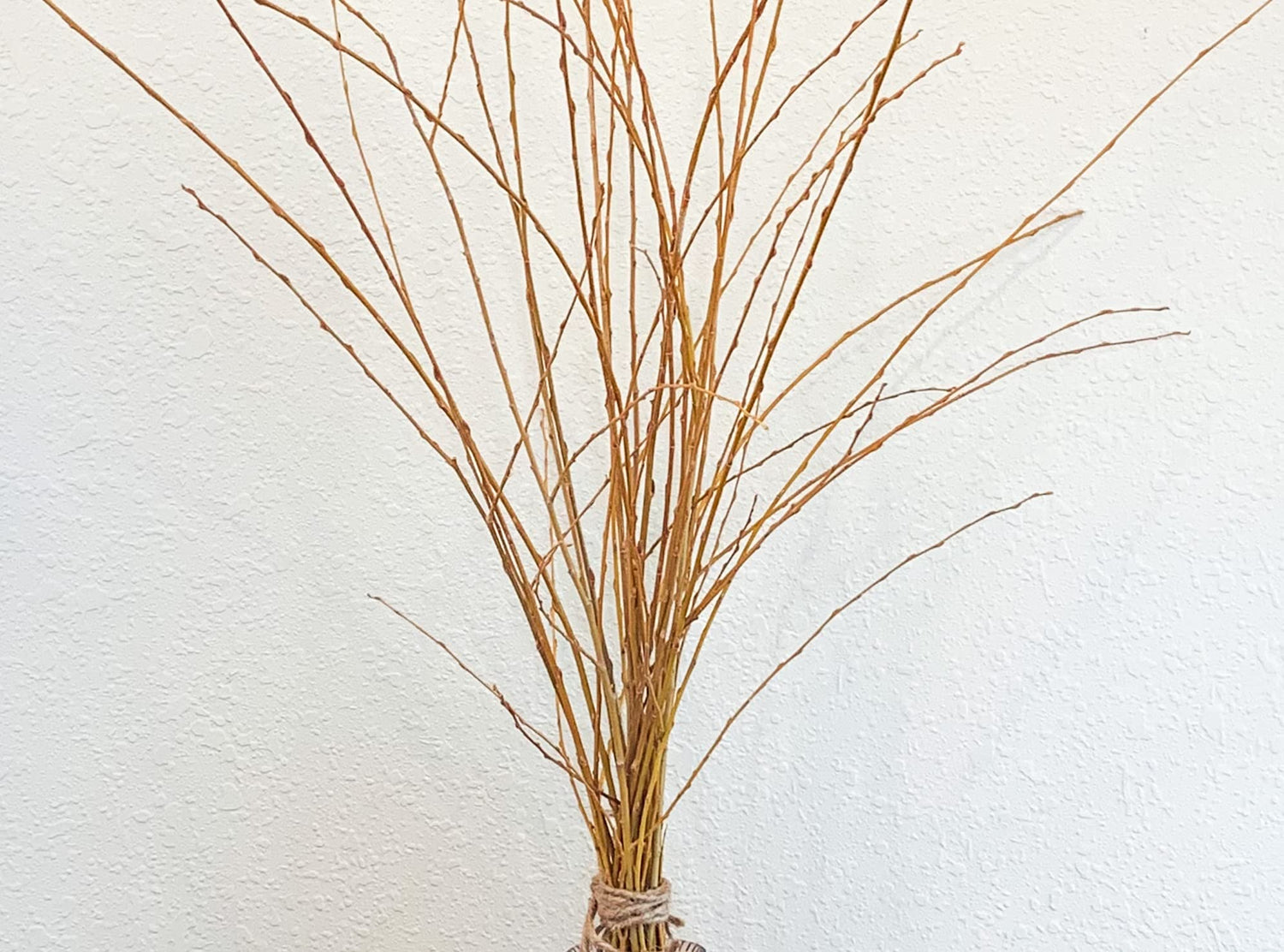 16 Gold Weeping Willow Branch Tips - Great for Decoration, Vase Filler, Wedding or Event Decor - Approx. 3 Foot Tall - Vase Not Included