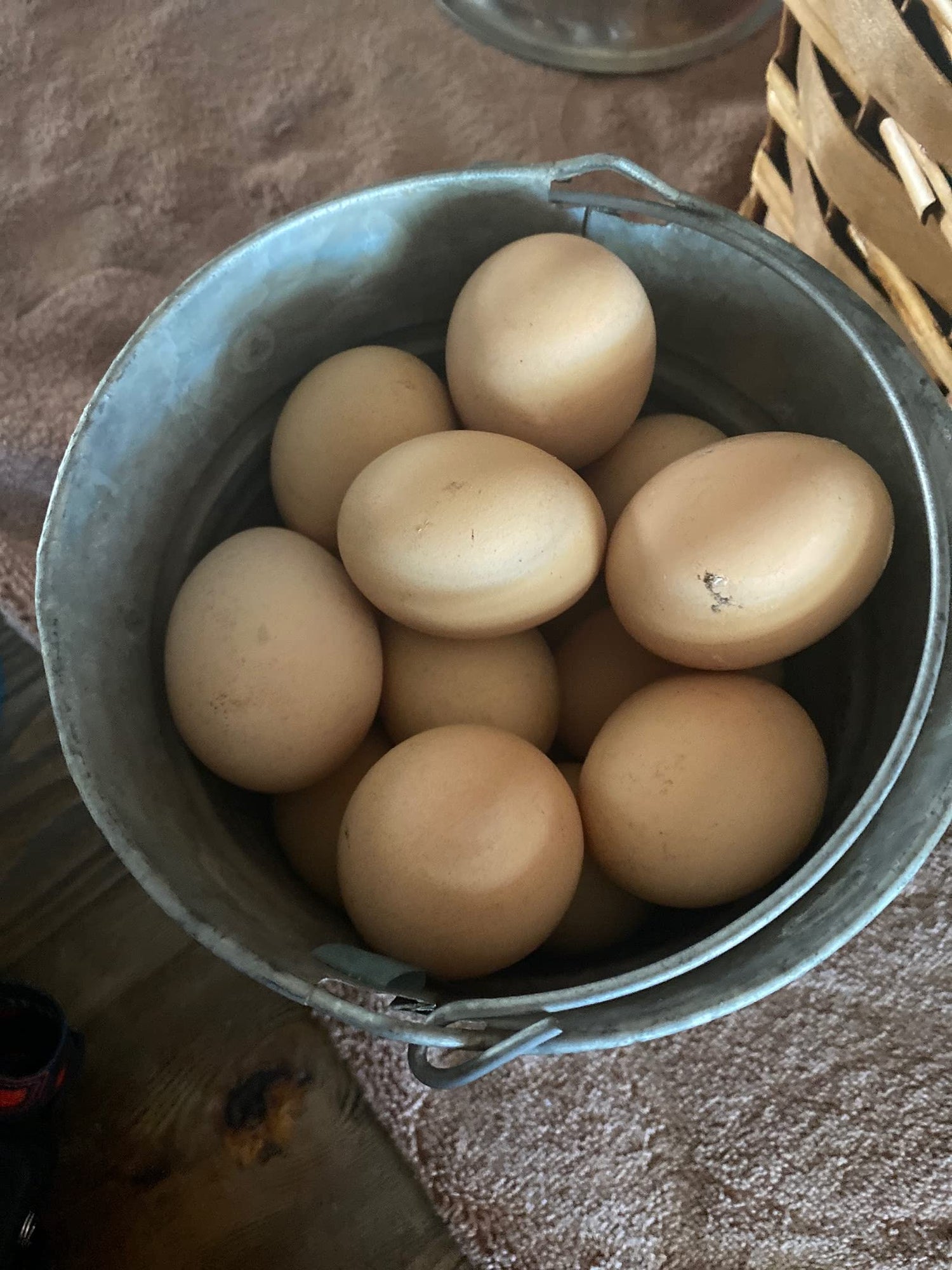 18 fertilized chicken eggs barnyard mix all colors and sizes