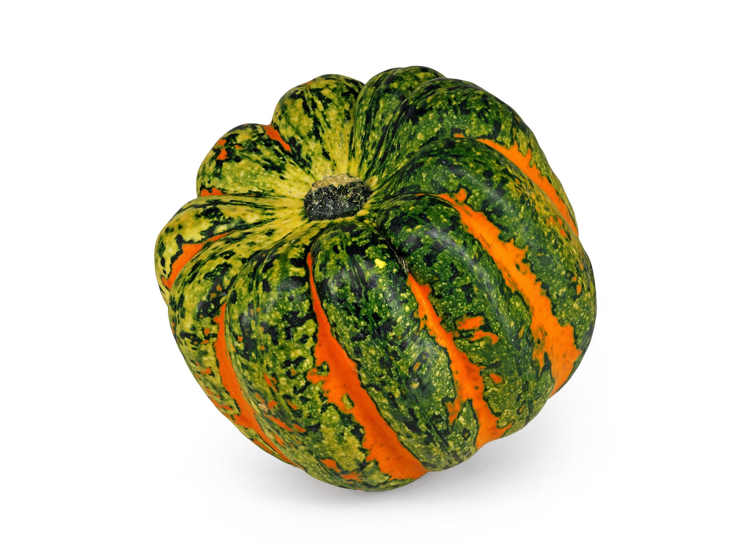 Celebration Squash Seeds for Planting (10 Seeds)