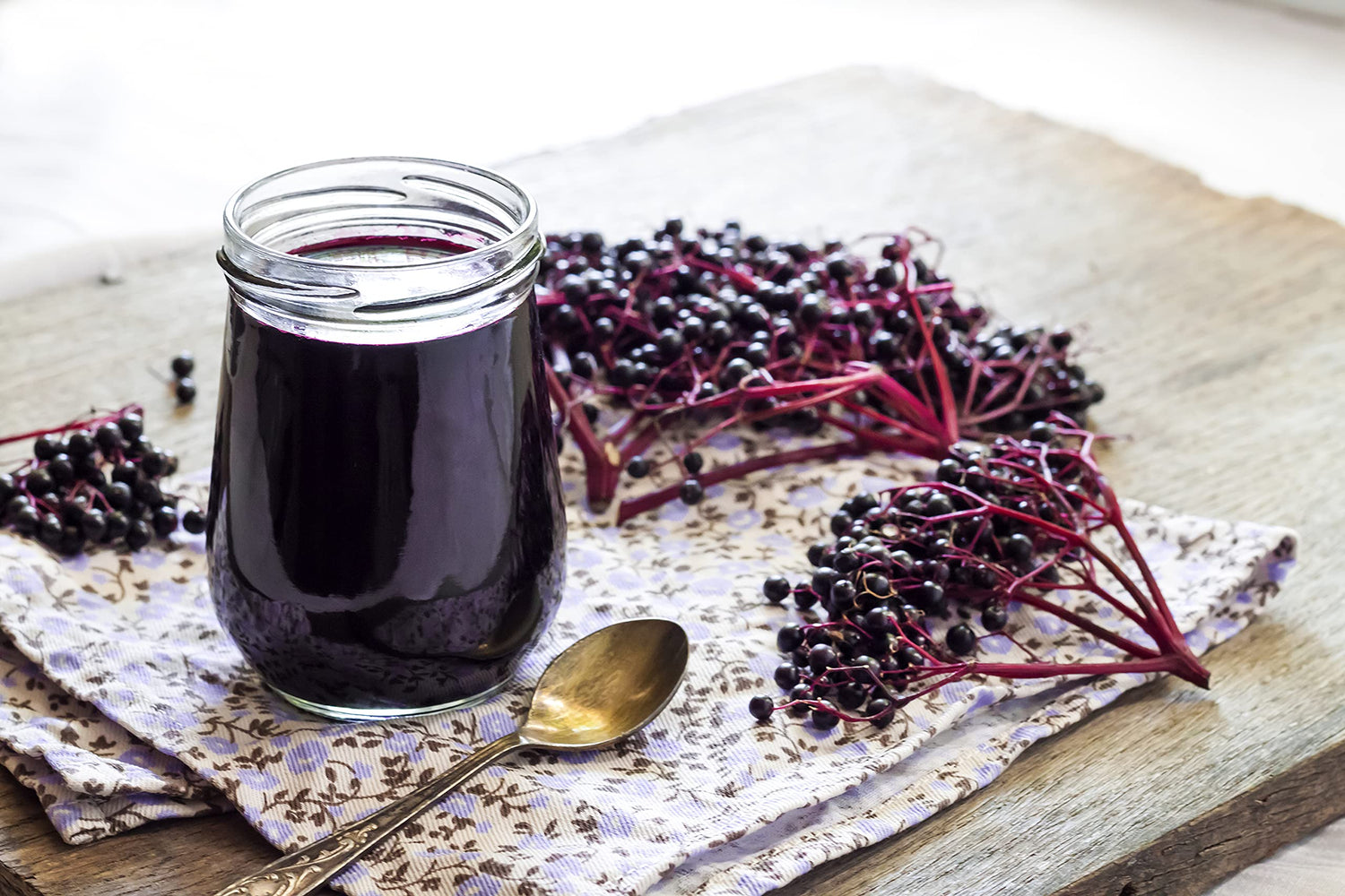 10 Black Bearing Elderberry Cuttings to Grow - Grow 10 Elderberry Bush Plants - Prized for Healthy Fruit