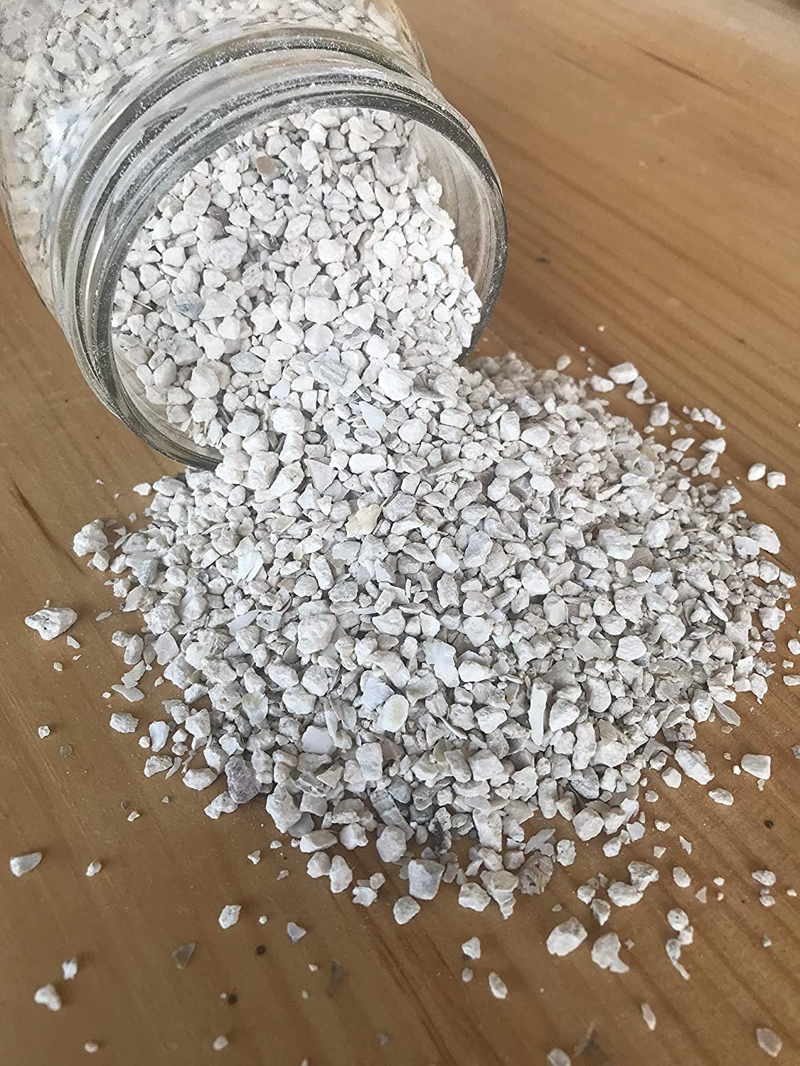 CZ Grain Calcium and Crushed Oyster Shells for Chickens - Grit for Chickens and Ducks (10 Pounds)
