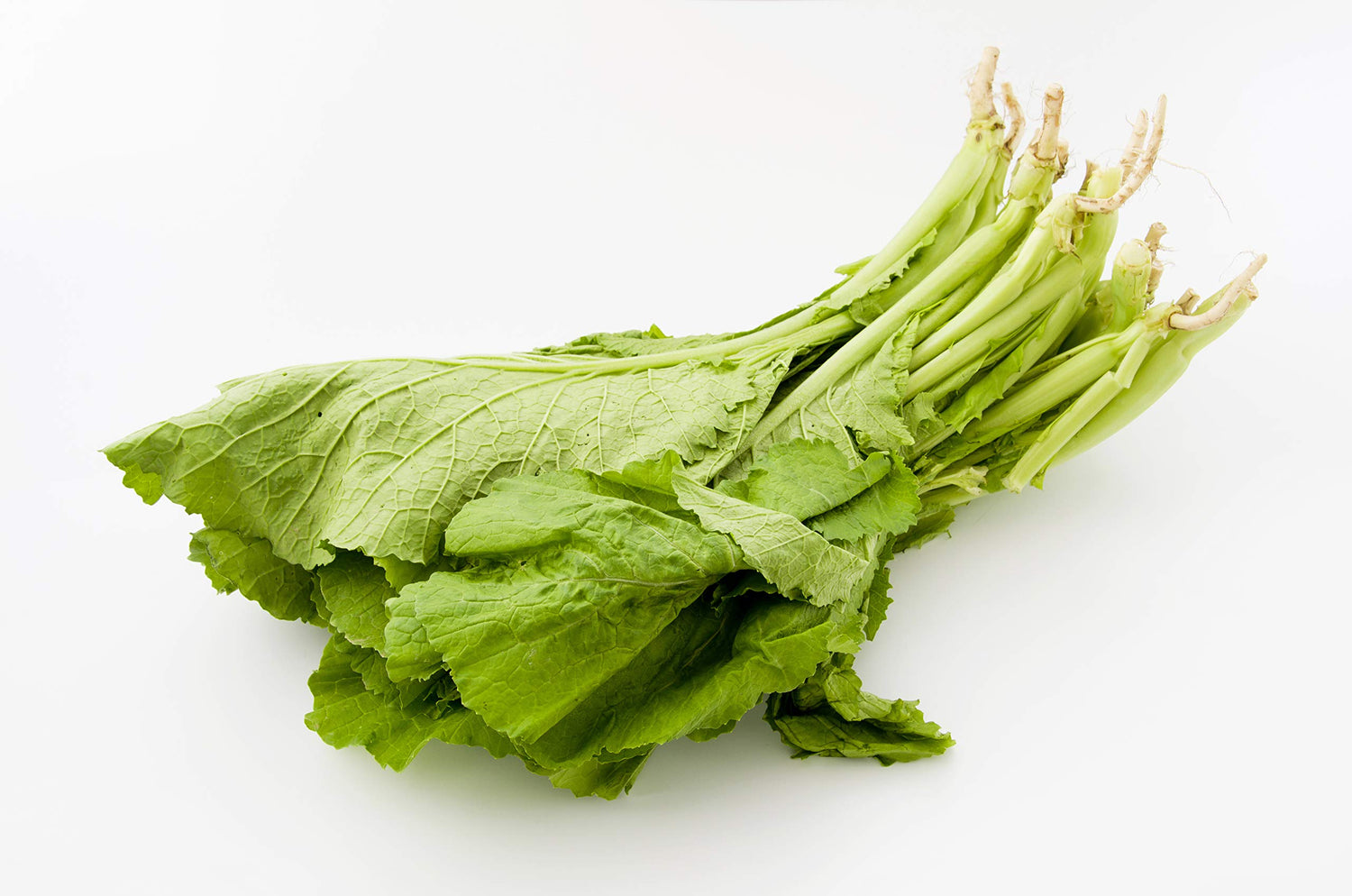 Florida Broadleaf Mustard Greens | 250+ Seeds to Grow | Made in USA, Ships from Iowa.