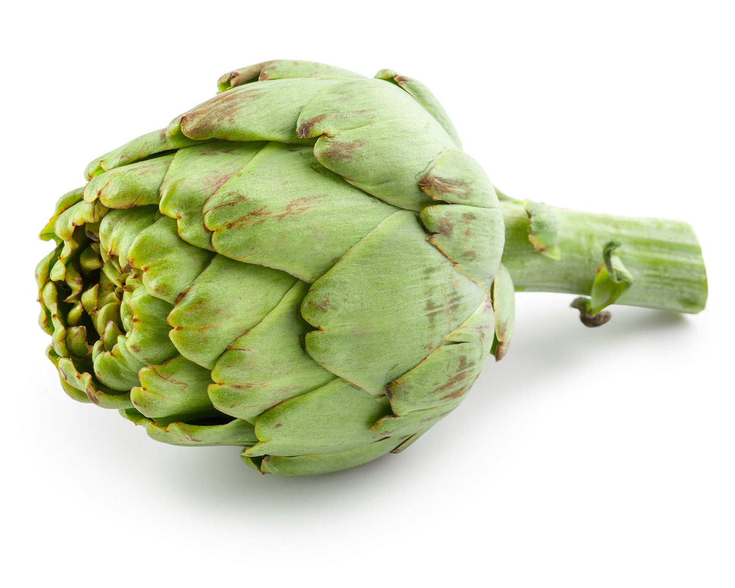 Exotic Globe Artichoke Seeds for Planting - 100+ Seeds - Rare Garden Vegetable Seeds