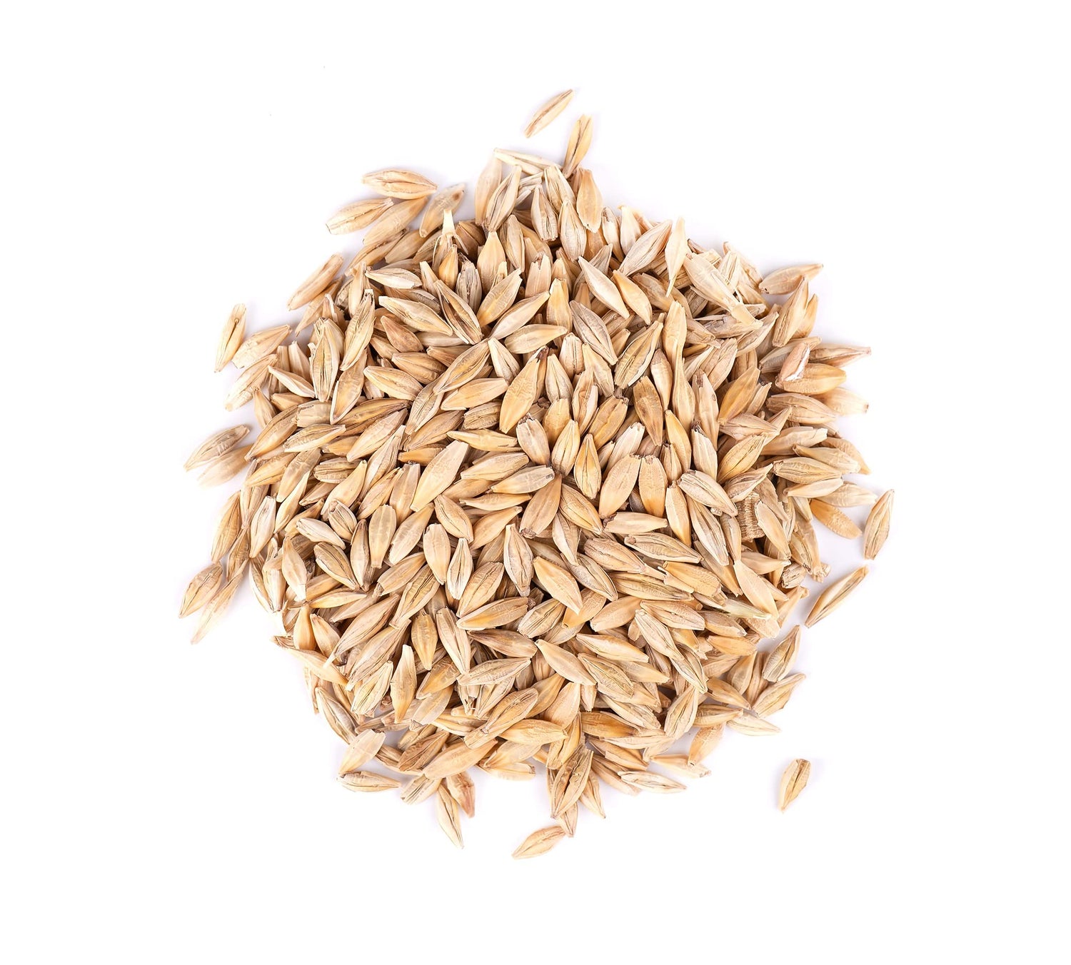 Barely Seeds for Planting