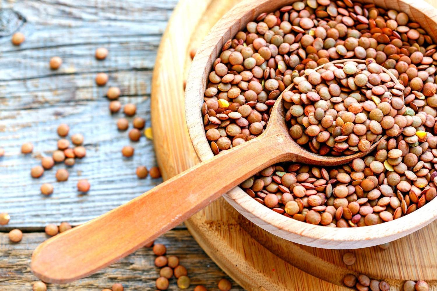 50 Brown Lentils Plant Seeds - Grow Your Own Food