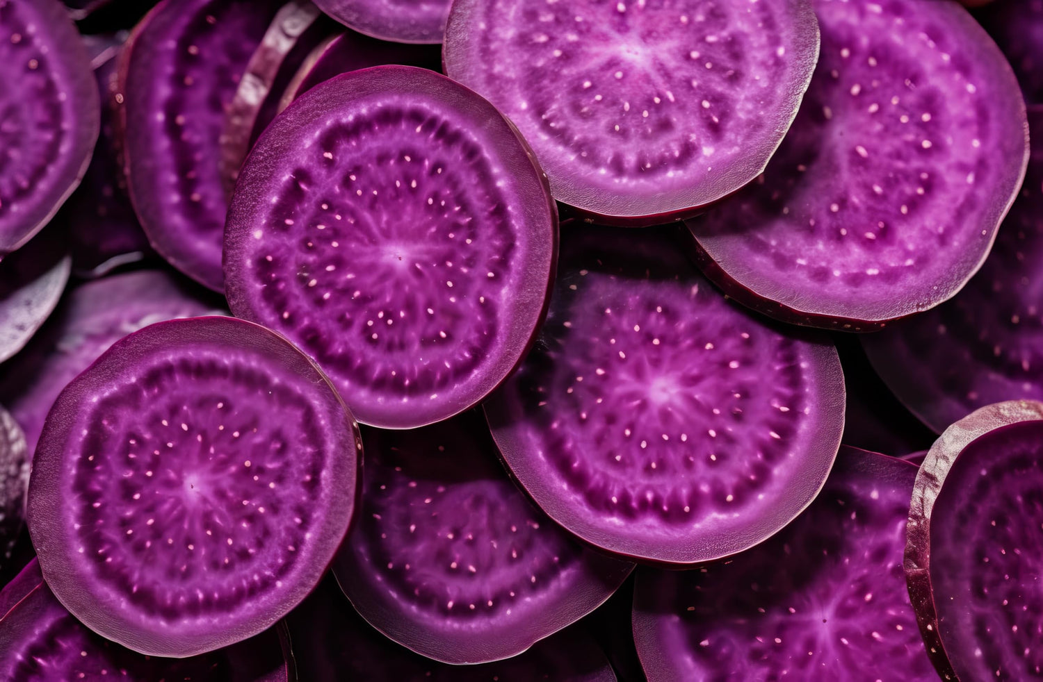 5 Purple Sweet Potato Slips for Planting - Grow Your Own Purple Sweet Potatos