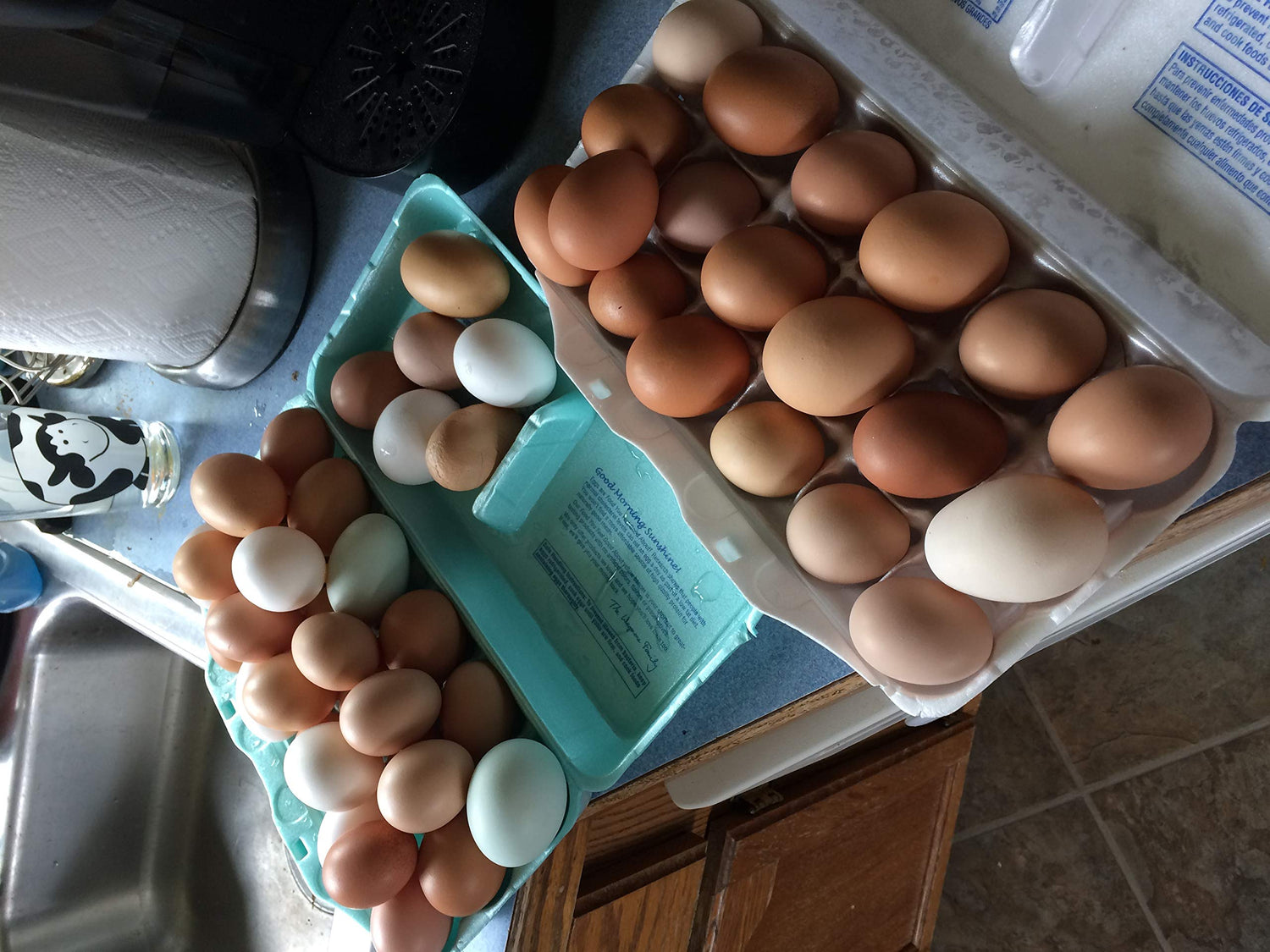 Mitrowski House Farm 12+ Fertile Hatching Eggs Barnyard Mix-**Be Sure to Select More Buying Options as Seller if You Want The Breeds Listed!!**