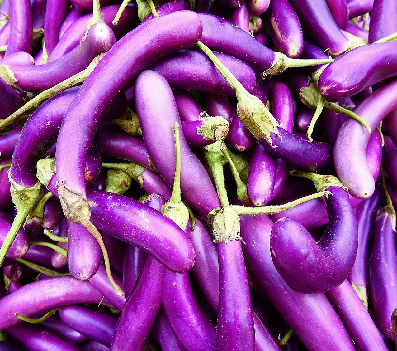 Eggplant Seeds for Planting | 250 Long Purple Eggplant Seeds to Plant Home Outdoor Garden | Heirloom & Non-GMO Vegetable Seeds | Buy in Bulk