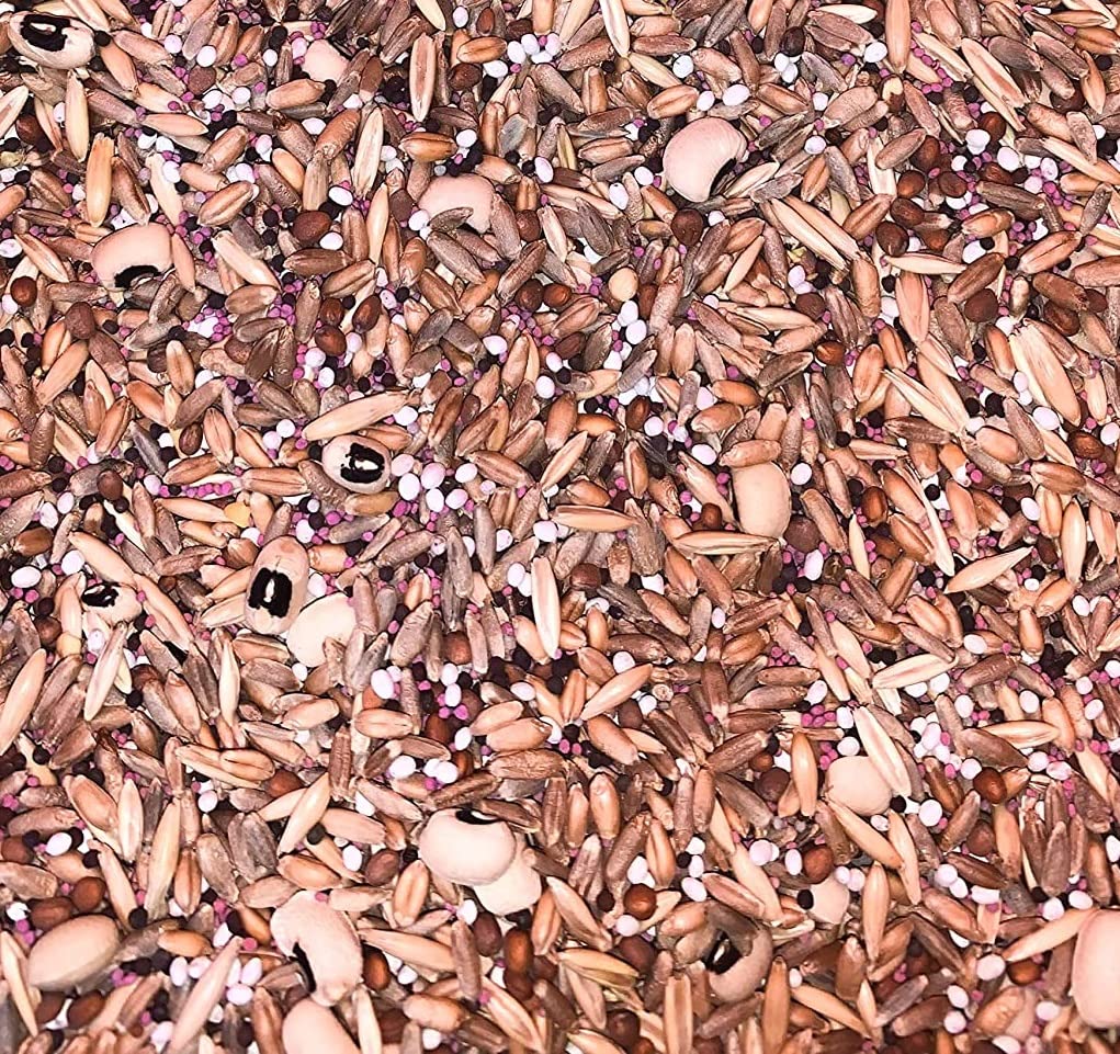 Fall Green Manure Mix Seed Kit - Cover Crop and Soil Builder, Easy to Grow, Build Biomass - Ships from Iowa, USA
