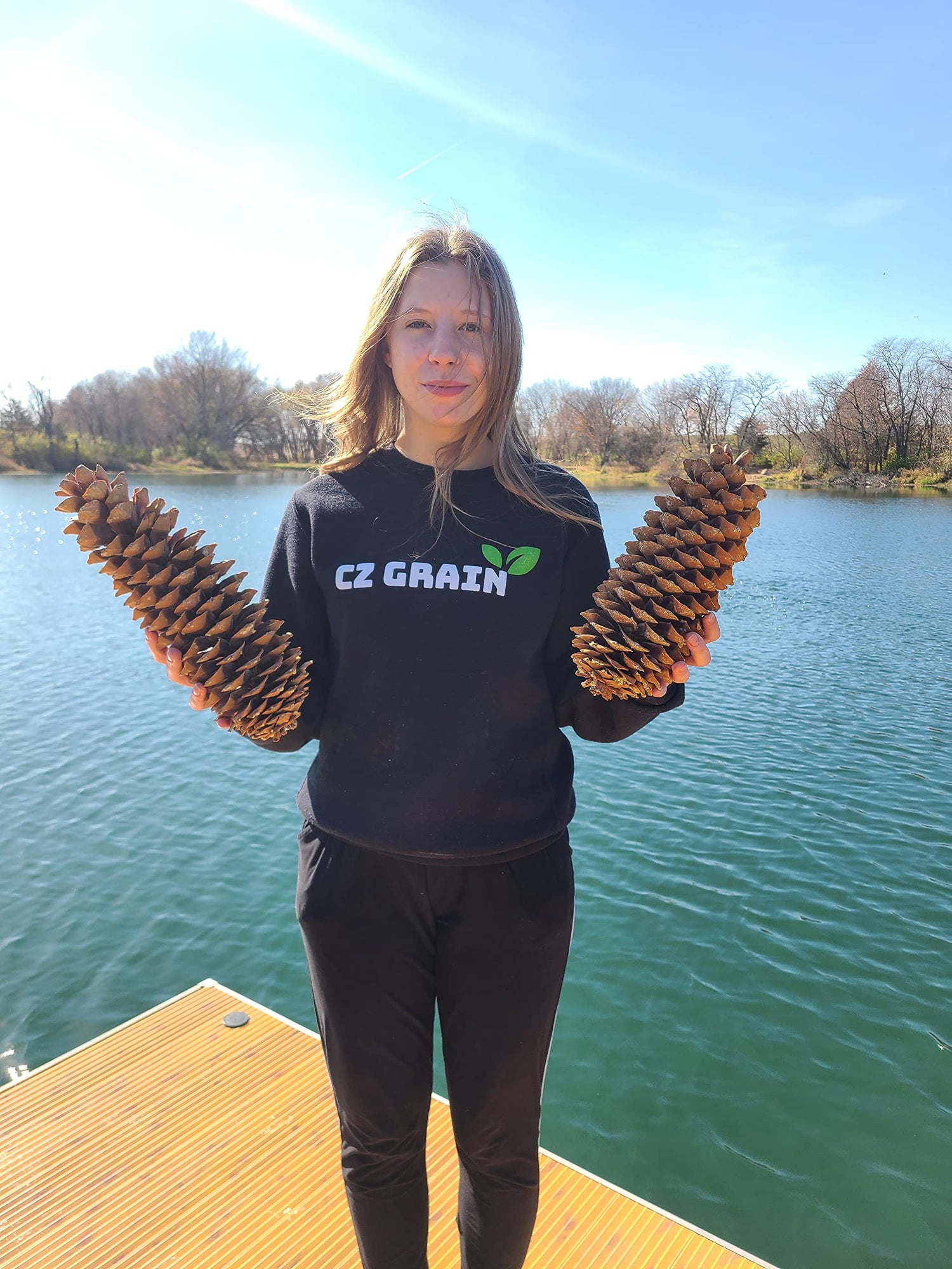 Sugar Pine Cones - Biggest Pine Cones, Great for Seasonal Decoration or Crafts, 10-14 Inch Length