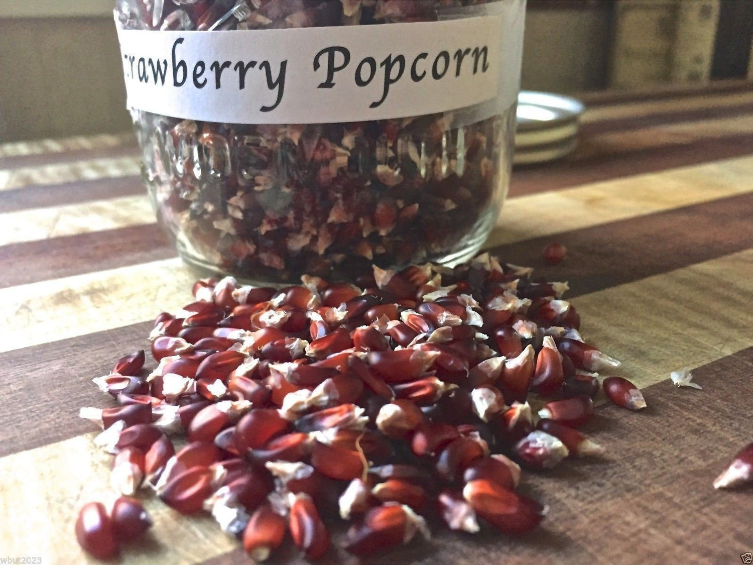 Strawberry Popcorn Corn Seeds - Grow Your own popcorn-Ornamental and Edible.(100 Seeds)